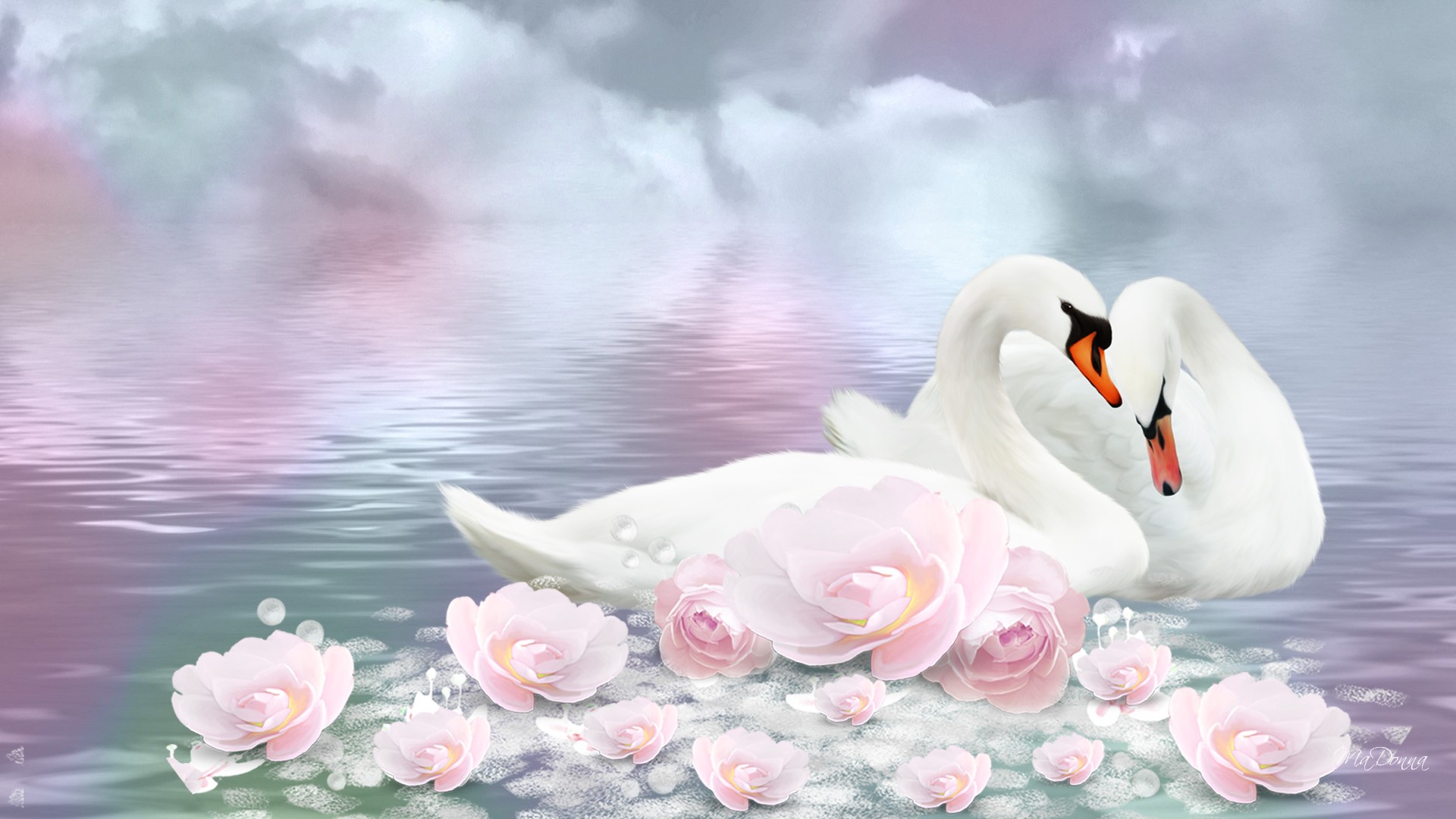 reflection, animal, swan, cloud, lotus, birds 1080p