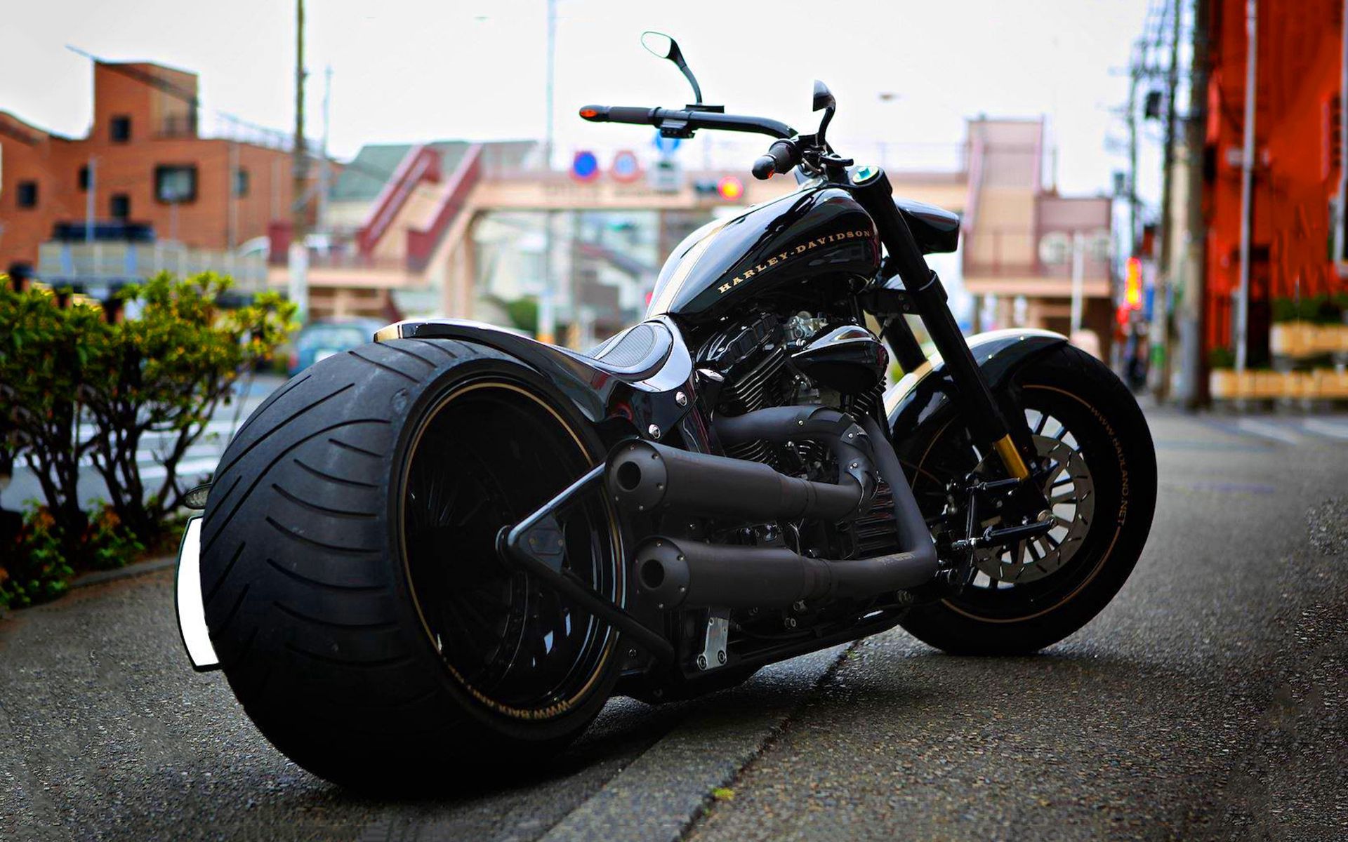 4k Harley Davidson Photos