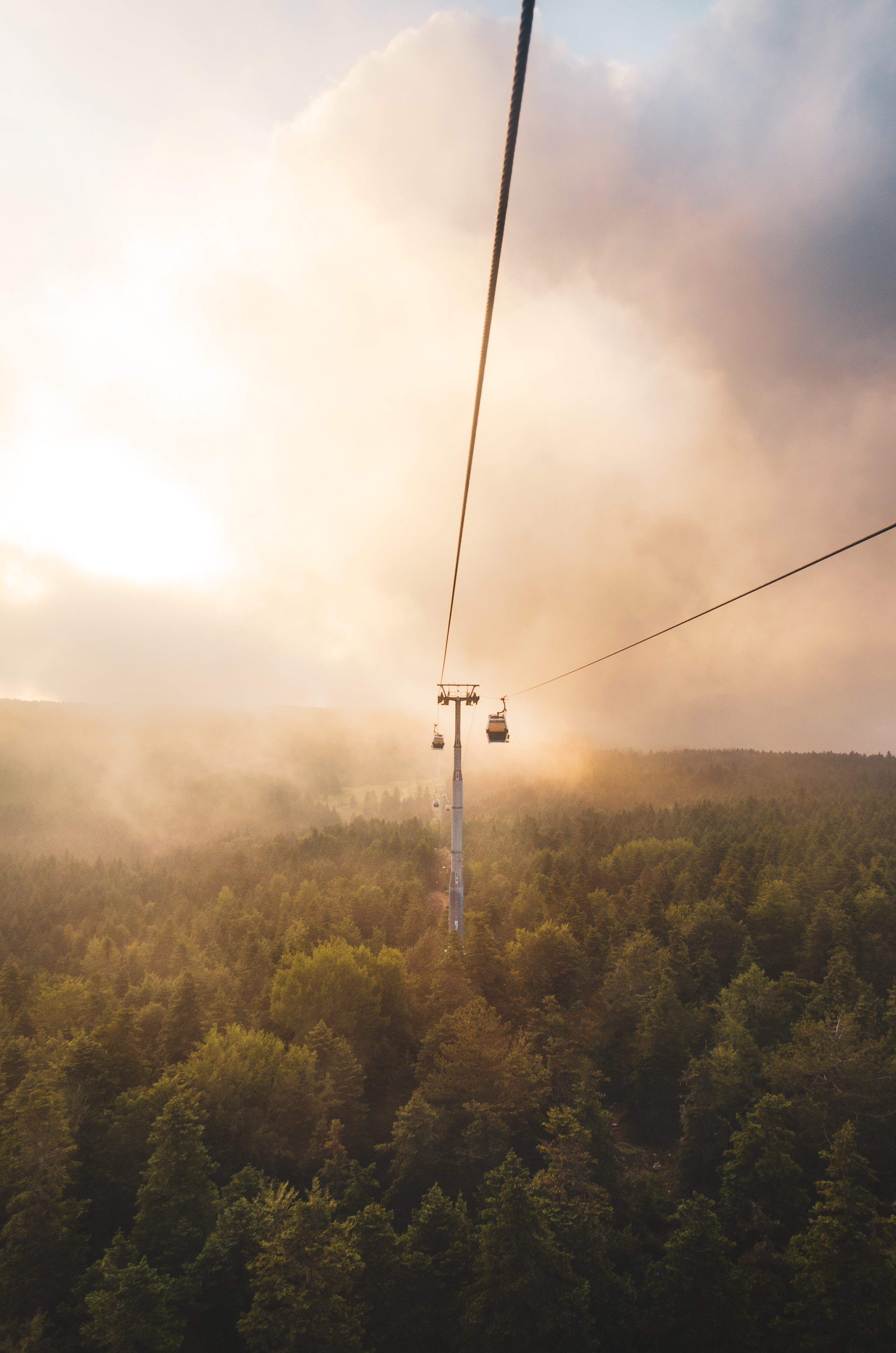 nature, trees, clouds, fog, cable car, cableway