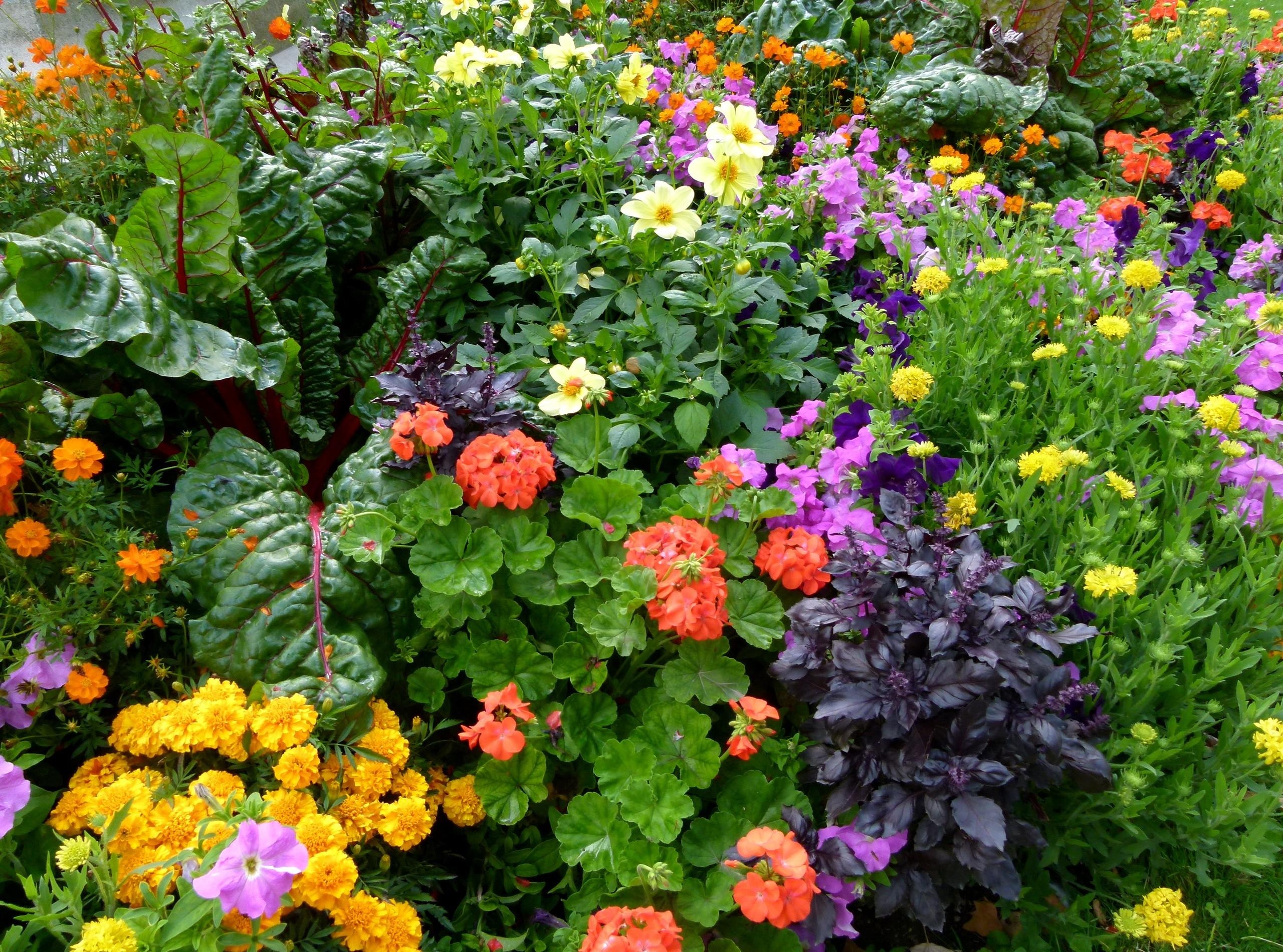 Free download wallpaper Flowers, Greens, Flower Bed, Flowerbed, Lot, Different on your PC desktop