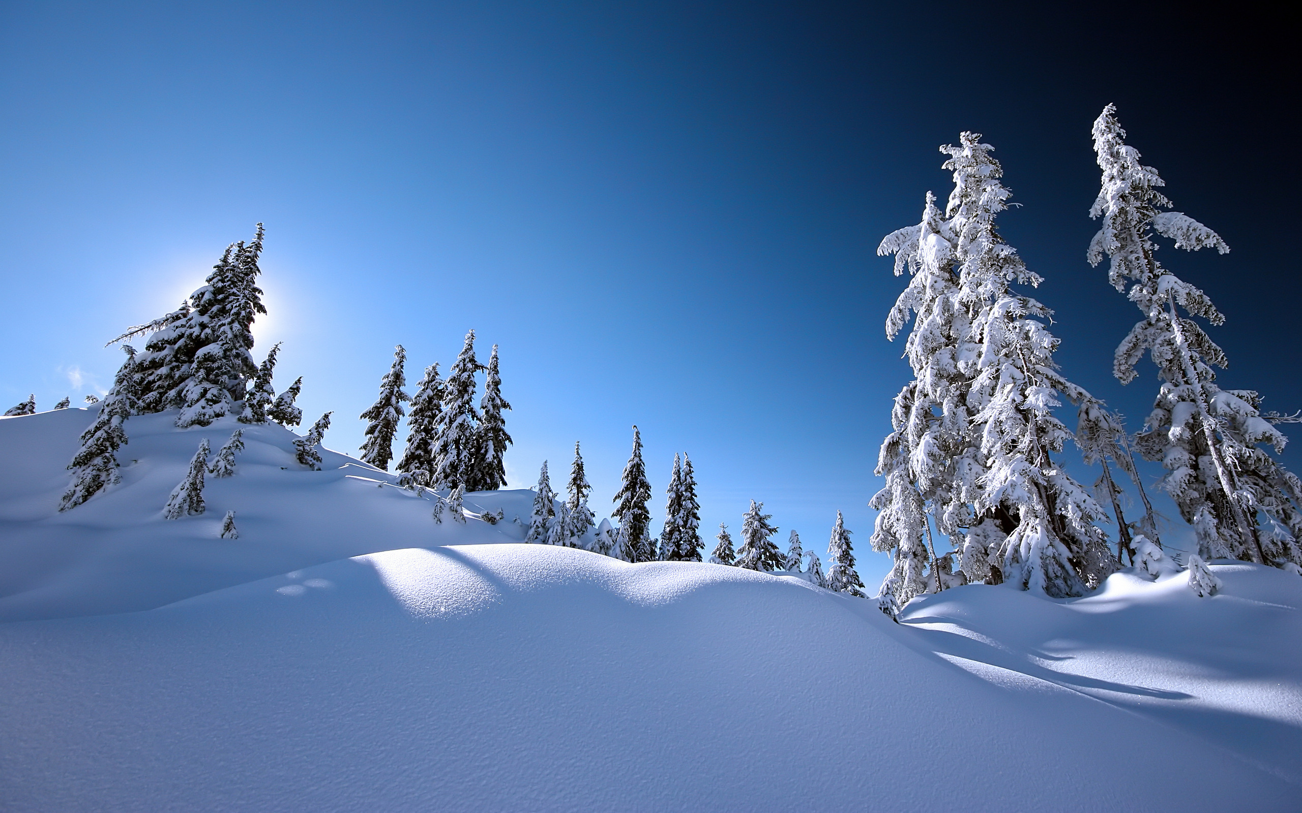 Фотообои зимний пейзаж