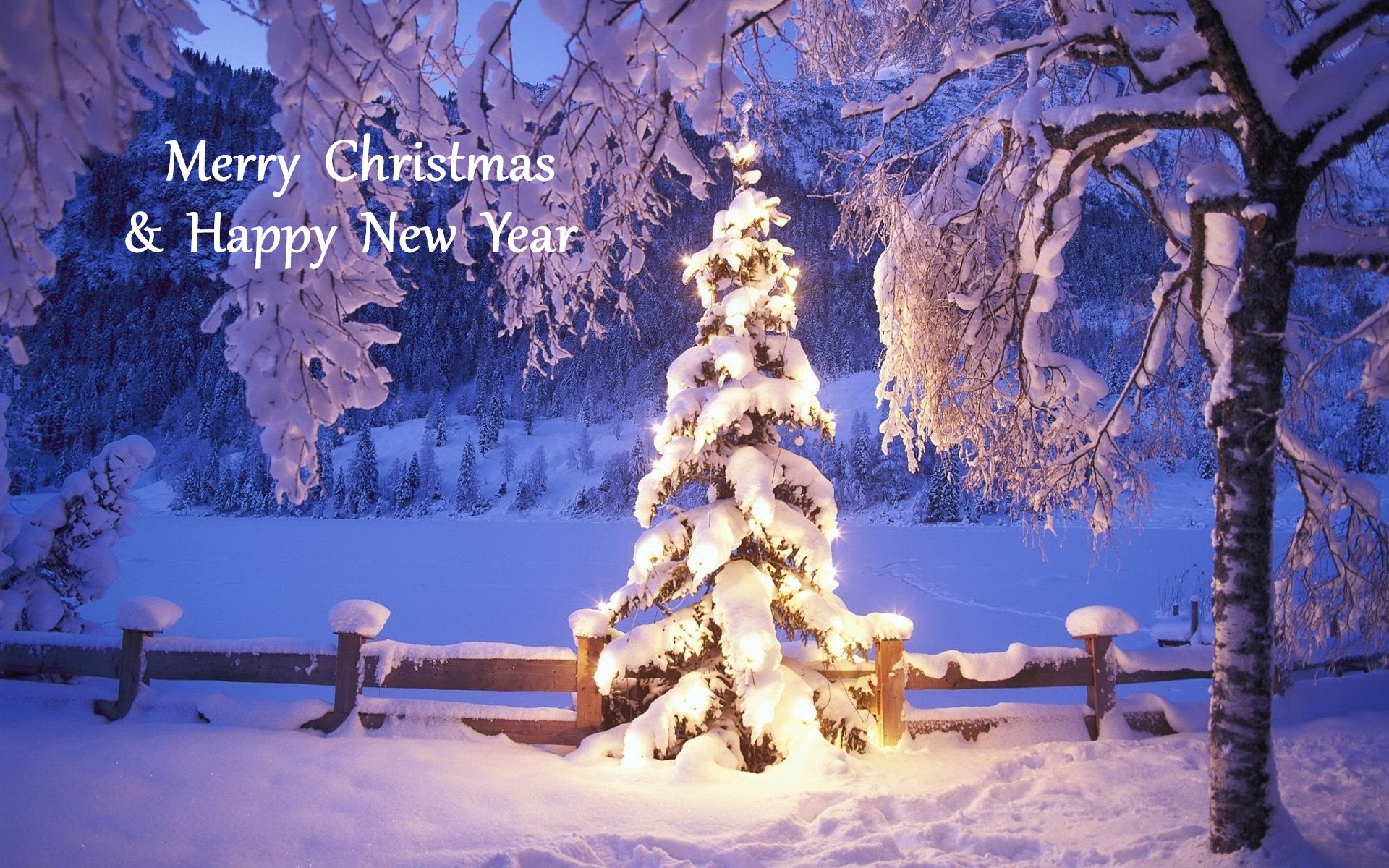 1504666 下載圖片 节日, 圣诞节, 新年快乐, 圣诞节快乐, 新年, 雪, 树, 冬天 - 免費壁紙和屏保