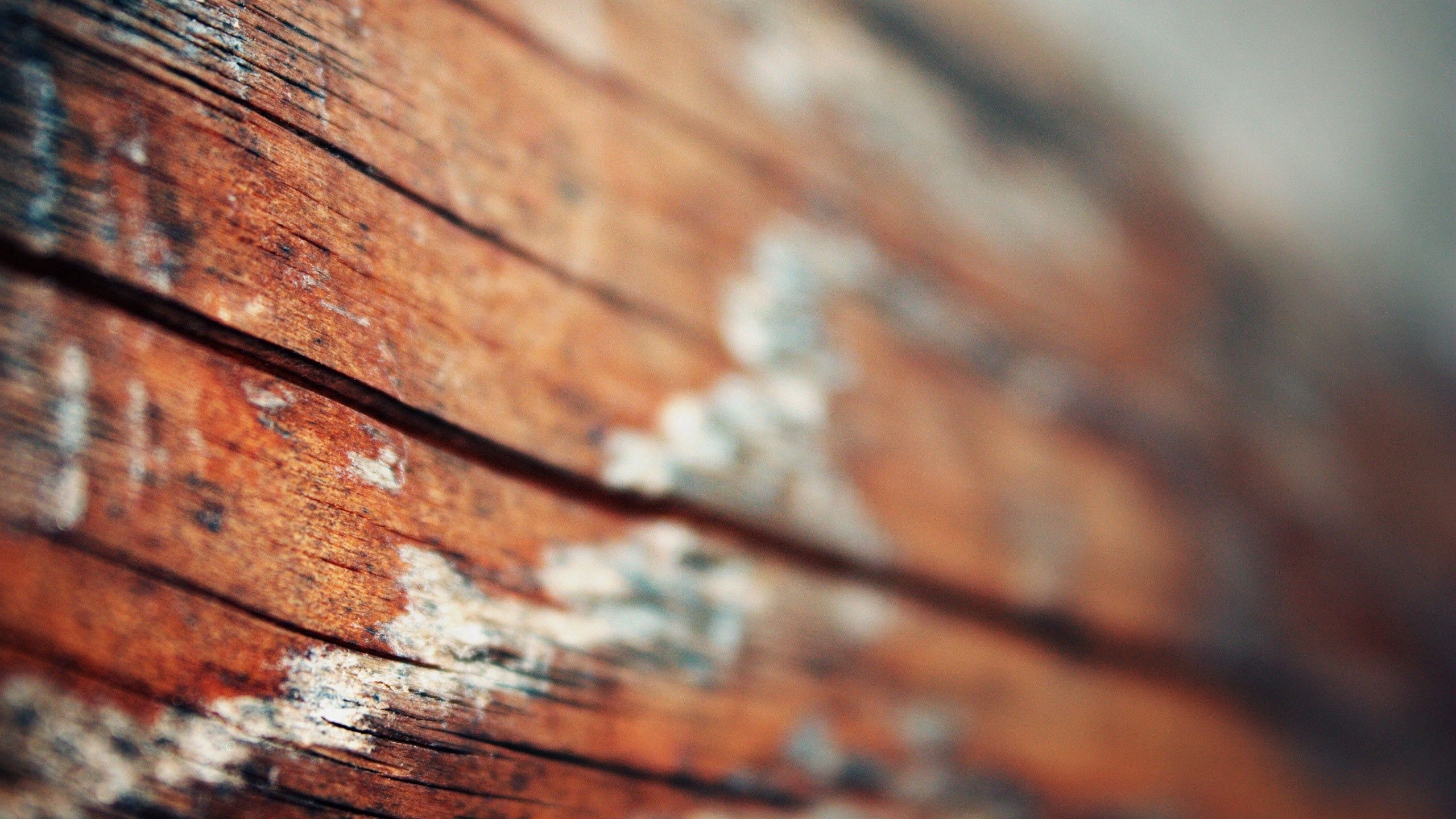 Download mobile wallpaper Wood, Light Coloured, Wooden, Macro, Light, Surface for free.