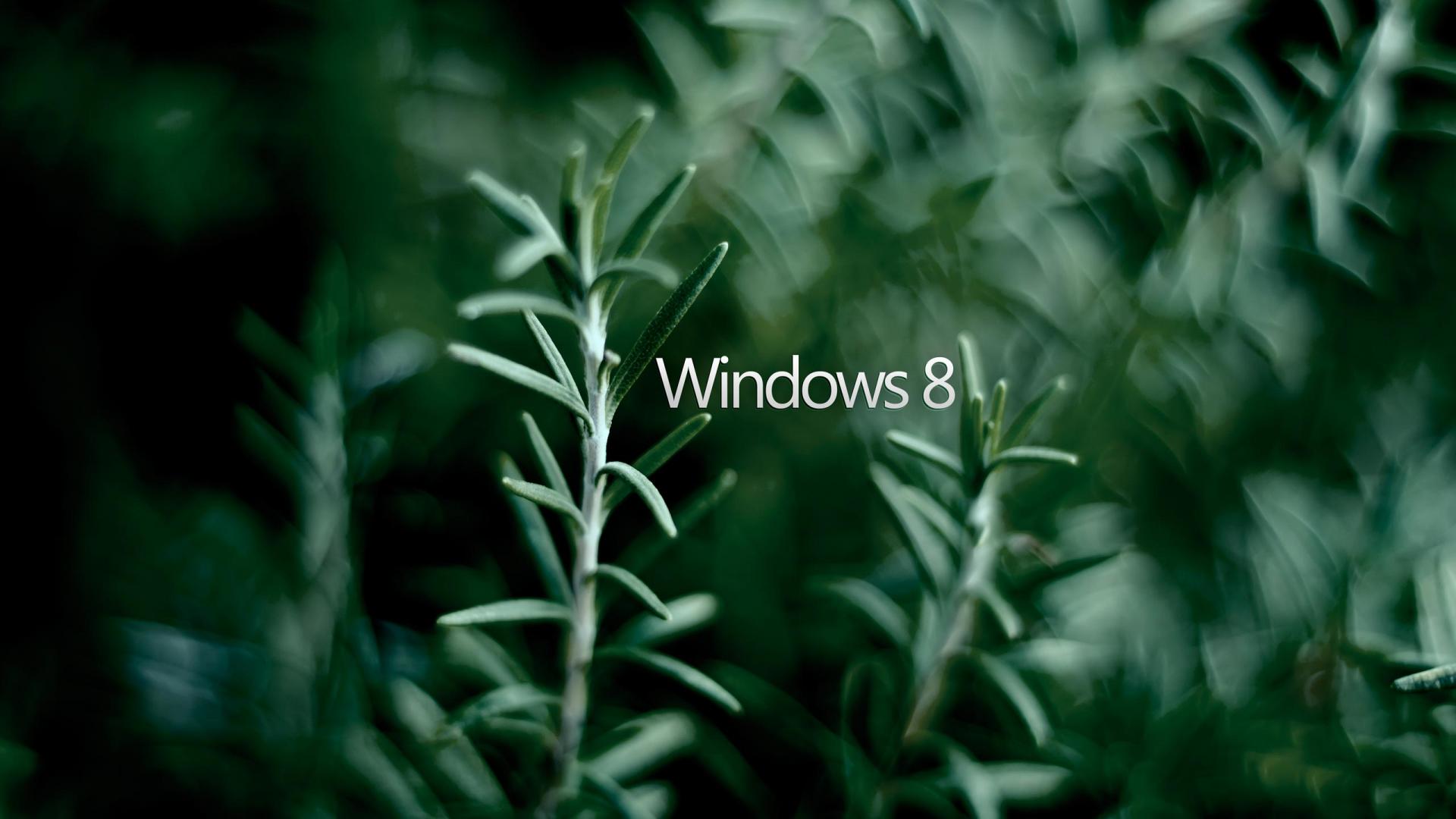 Windows 8 фото рабочего стола