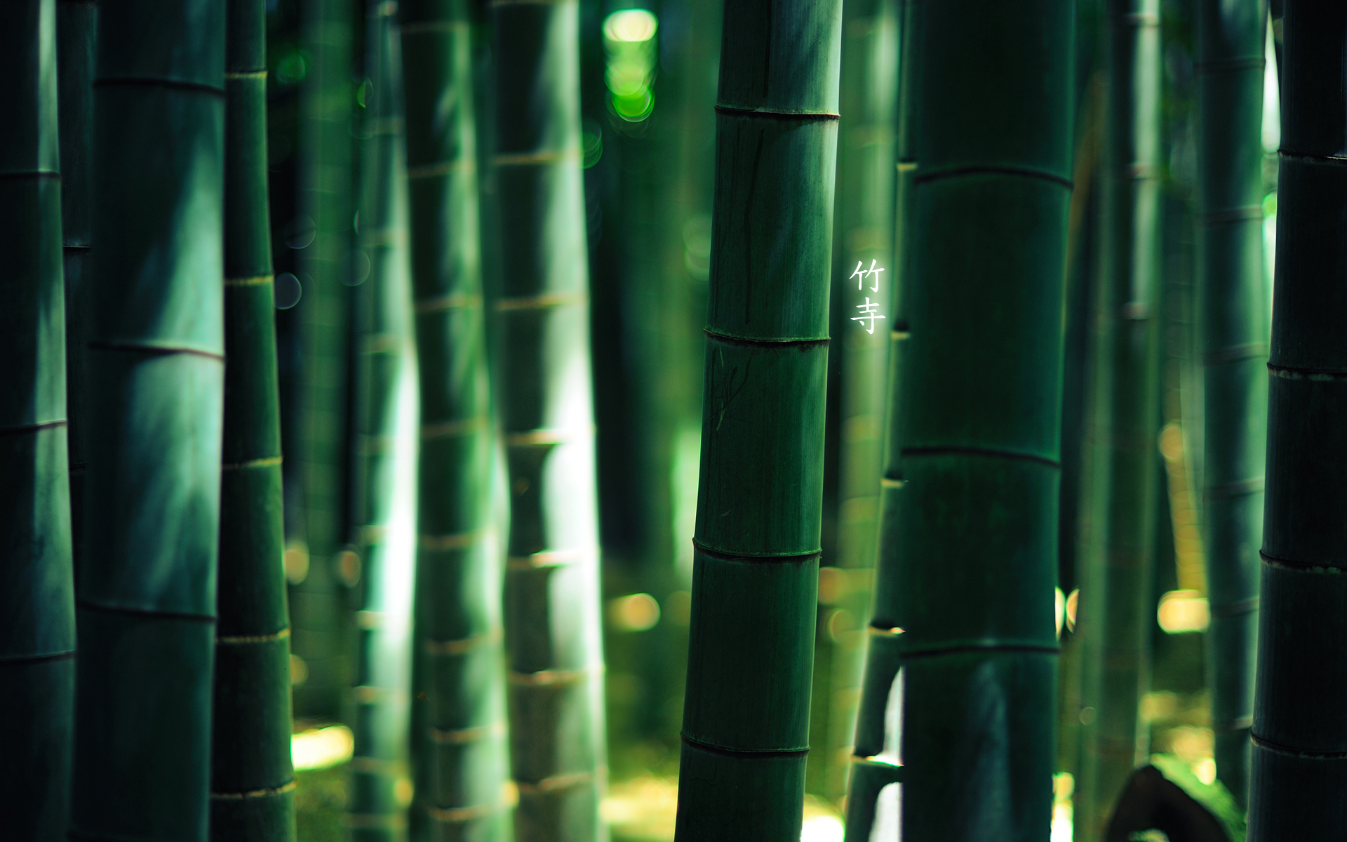earth, bamboo