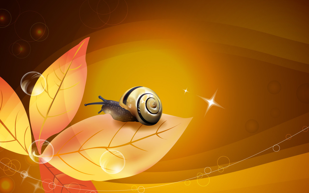 yellow, pictures, snails