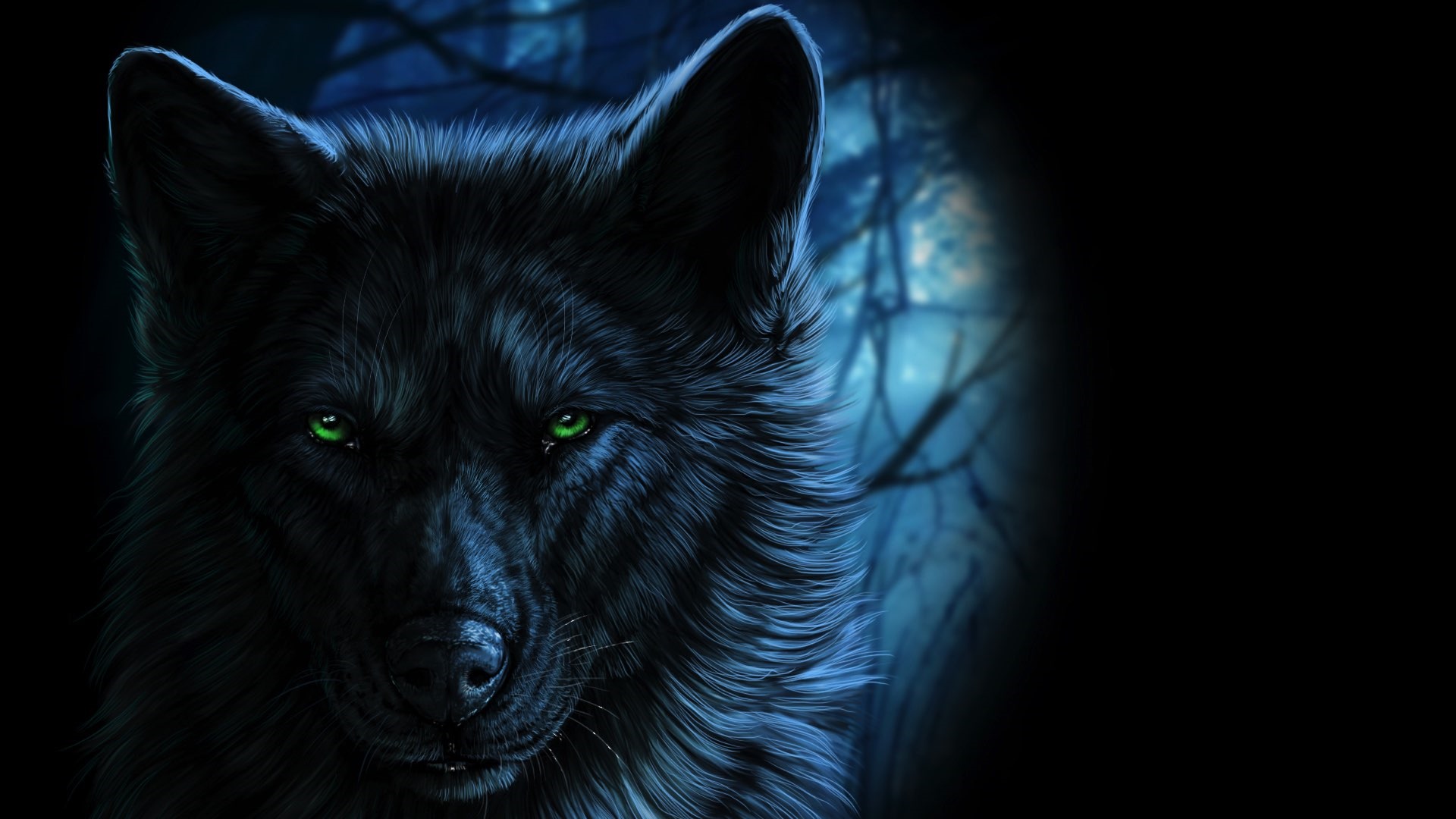 глаза волка в темноте фото