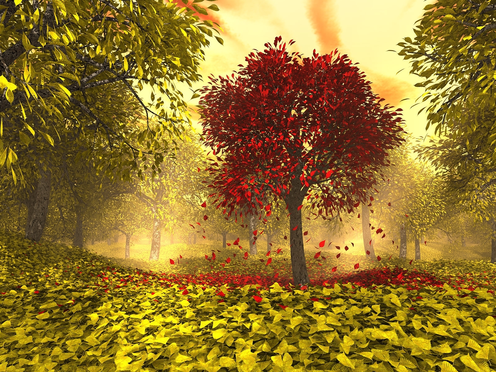 Скачать картинку Деревья, Листья, Осень, Пейзаж в телефон бесплатно.