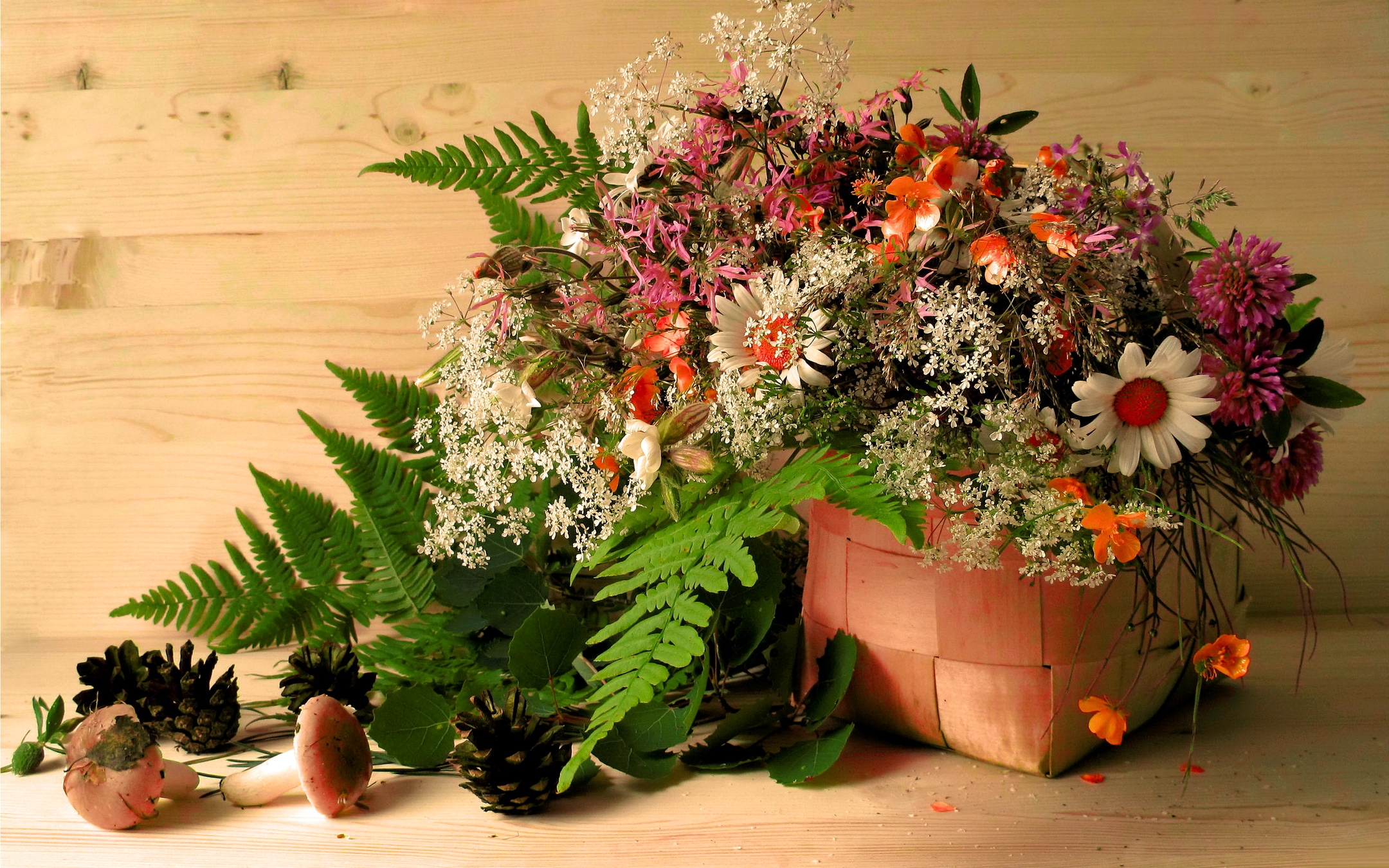 mashrooms, flowers, leaves, cones, camomile, basket, clover