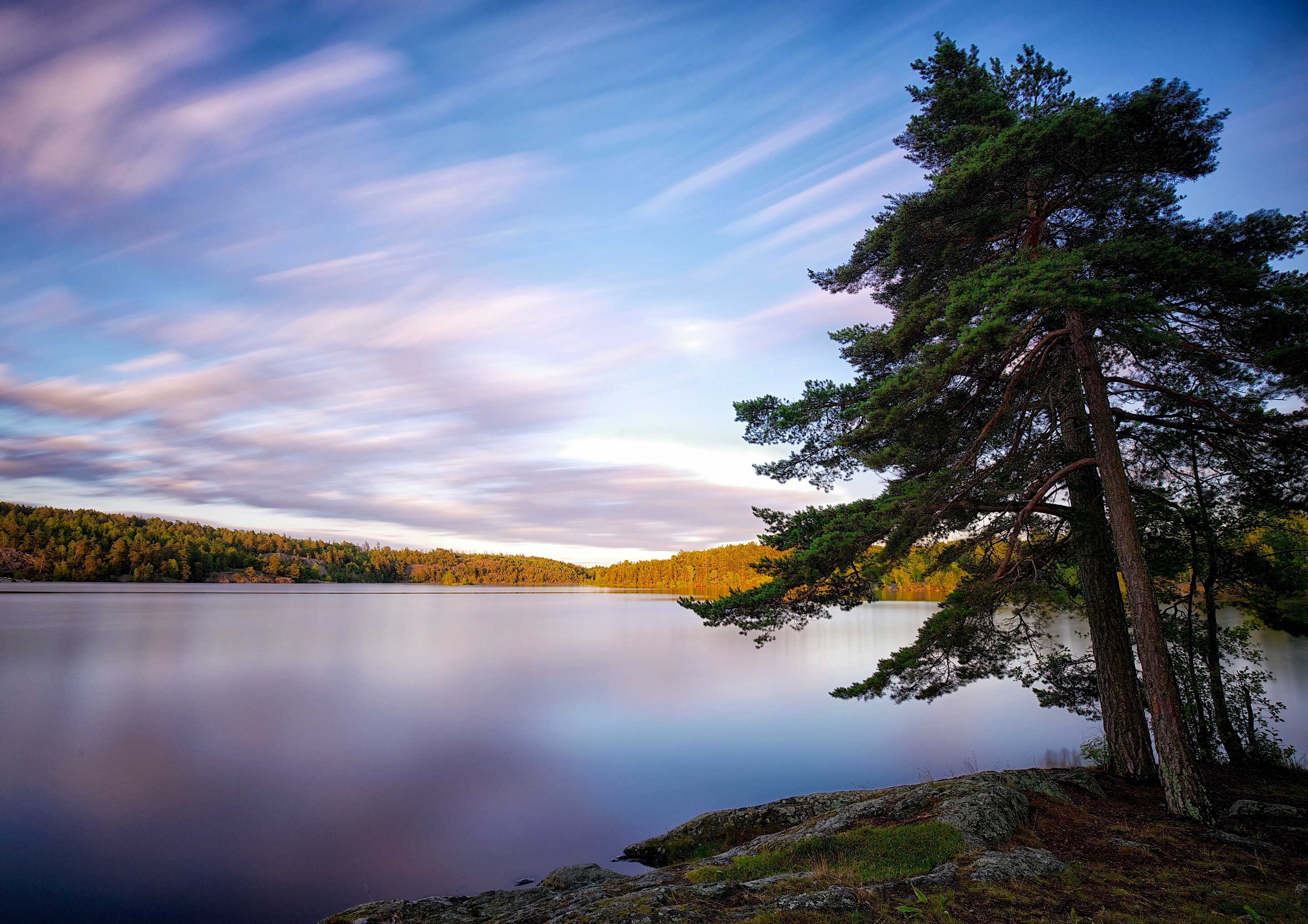 Free HD sweden, wood, nature, lake, tree