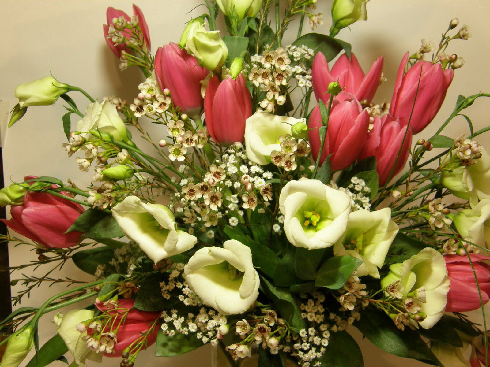 flowers, tulips, bouquet, composition