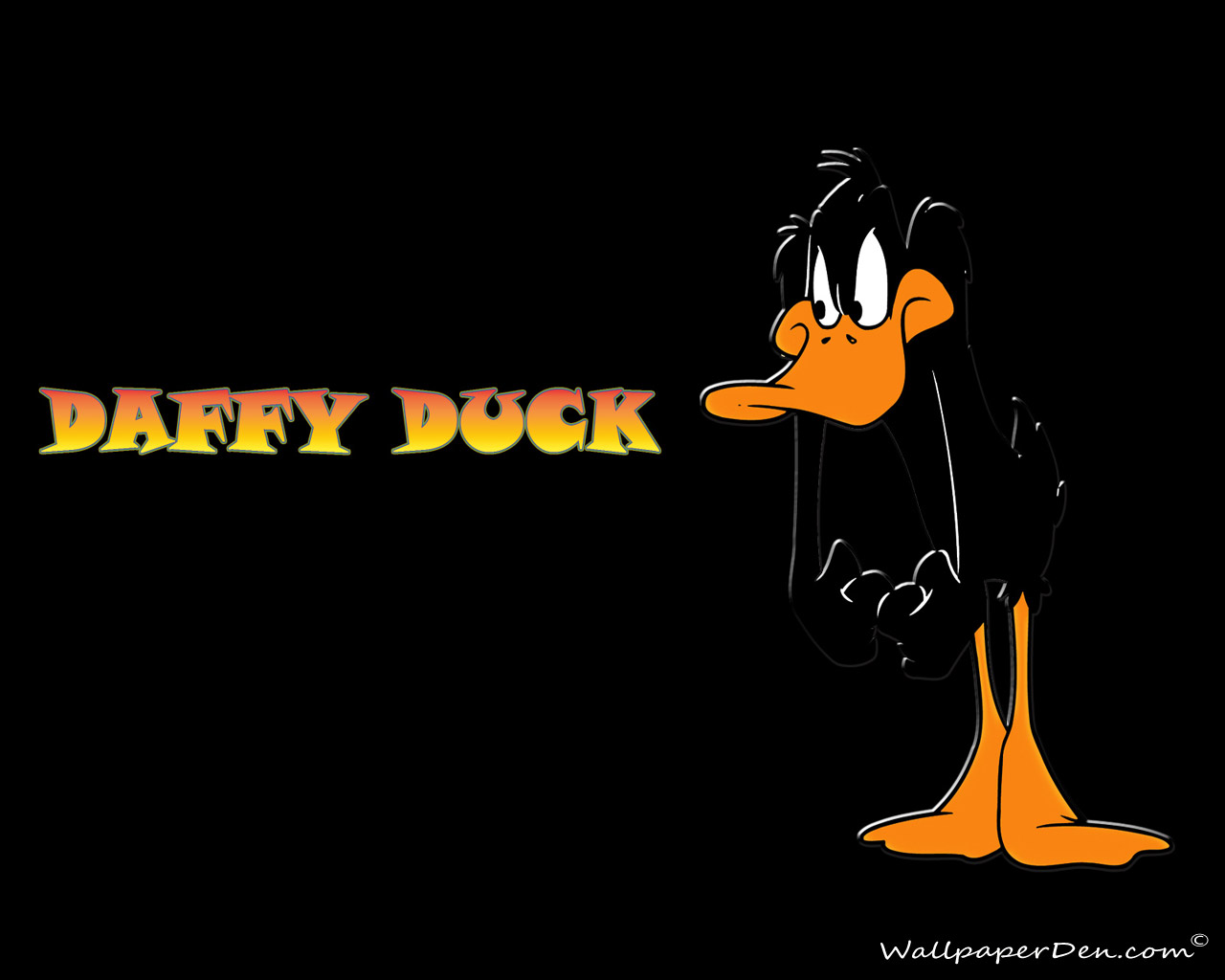 1242x2688 Resolution daffy duck duck drawing Iphone XS MAX Wallpaper   Wallpapers Den