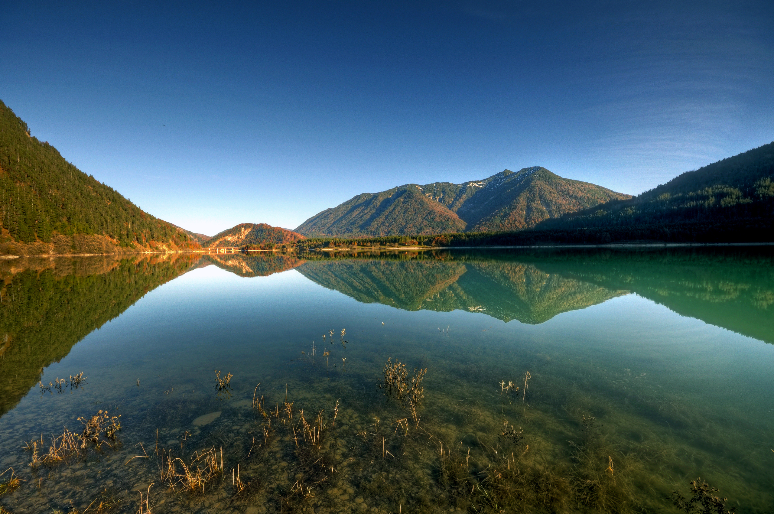 Озеро большое чистое. Озеро Рица Абхазия. Мультинские озера. Озеро Рица Абхазия лето.