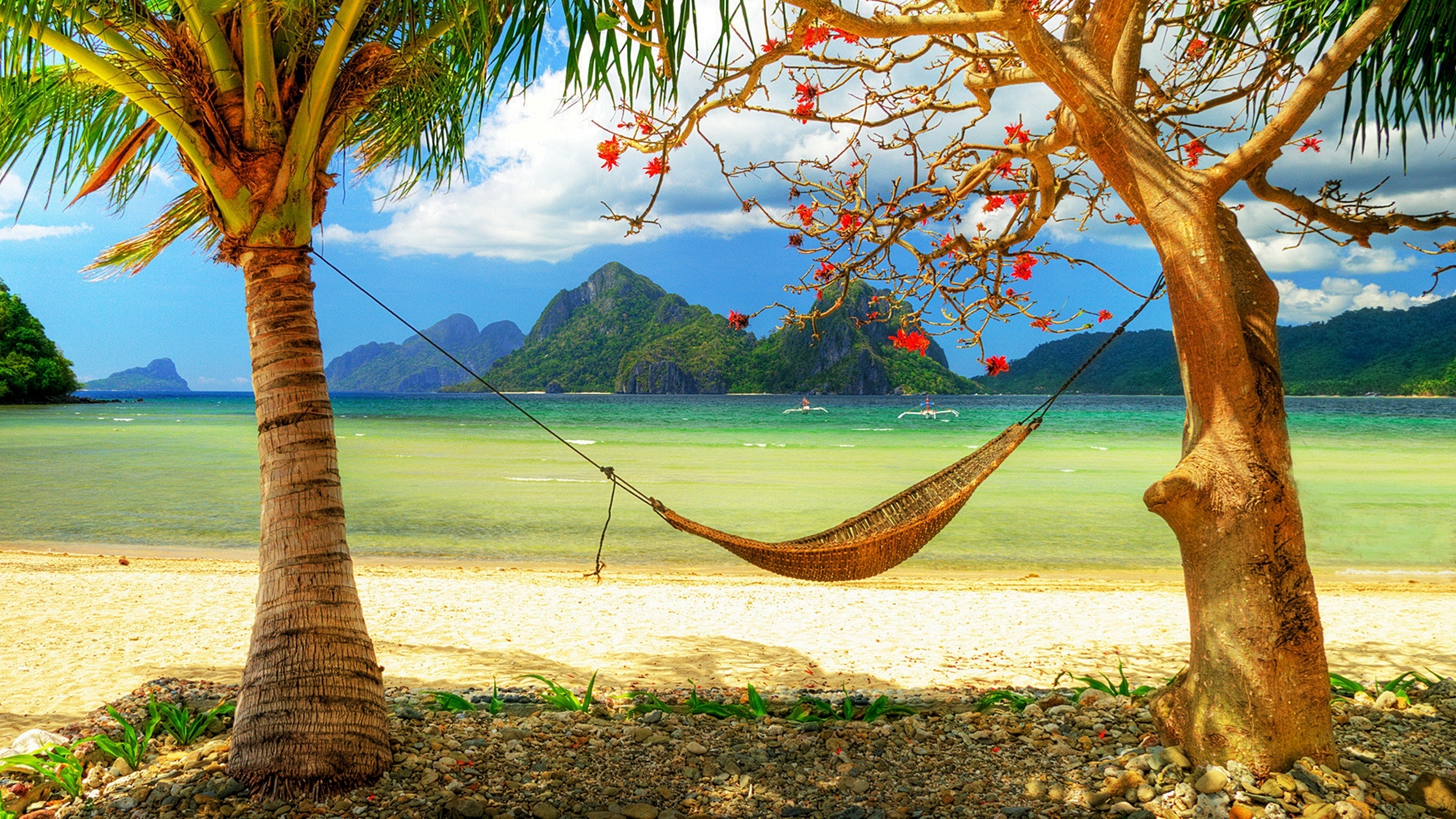 tropics, beach, photography, lagoon, palm tree cell phone wallpapers