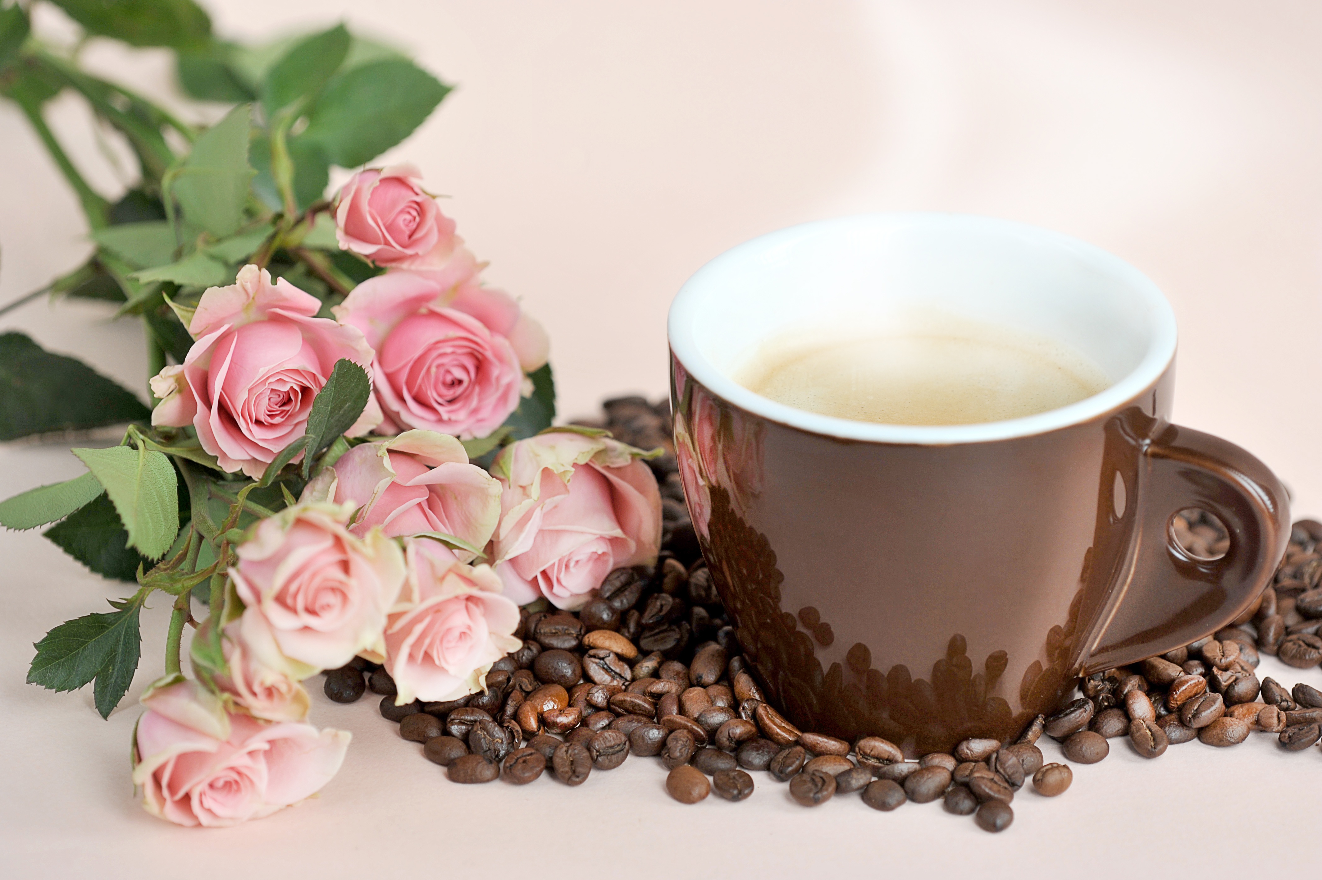 Фото кофе с розами