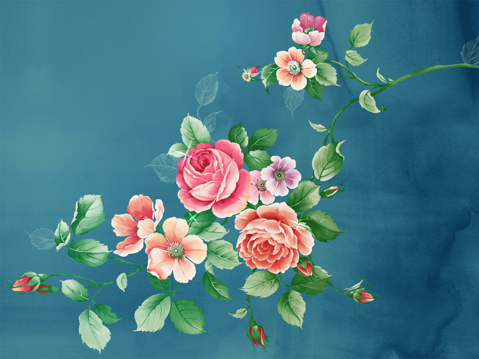 roses, plants, pictures, flowers, turquoise Smartphone Background