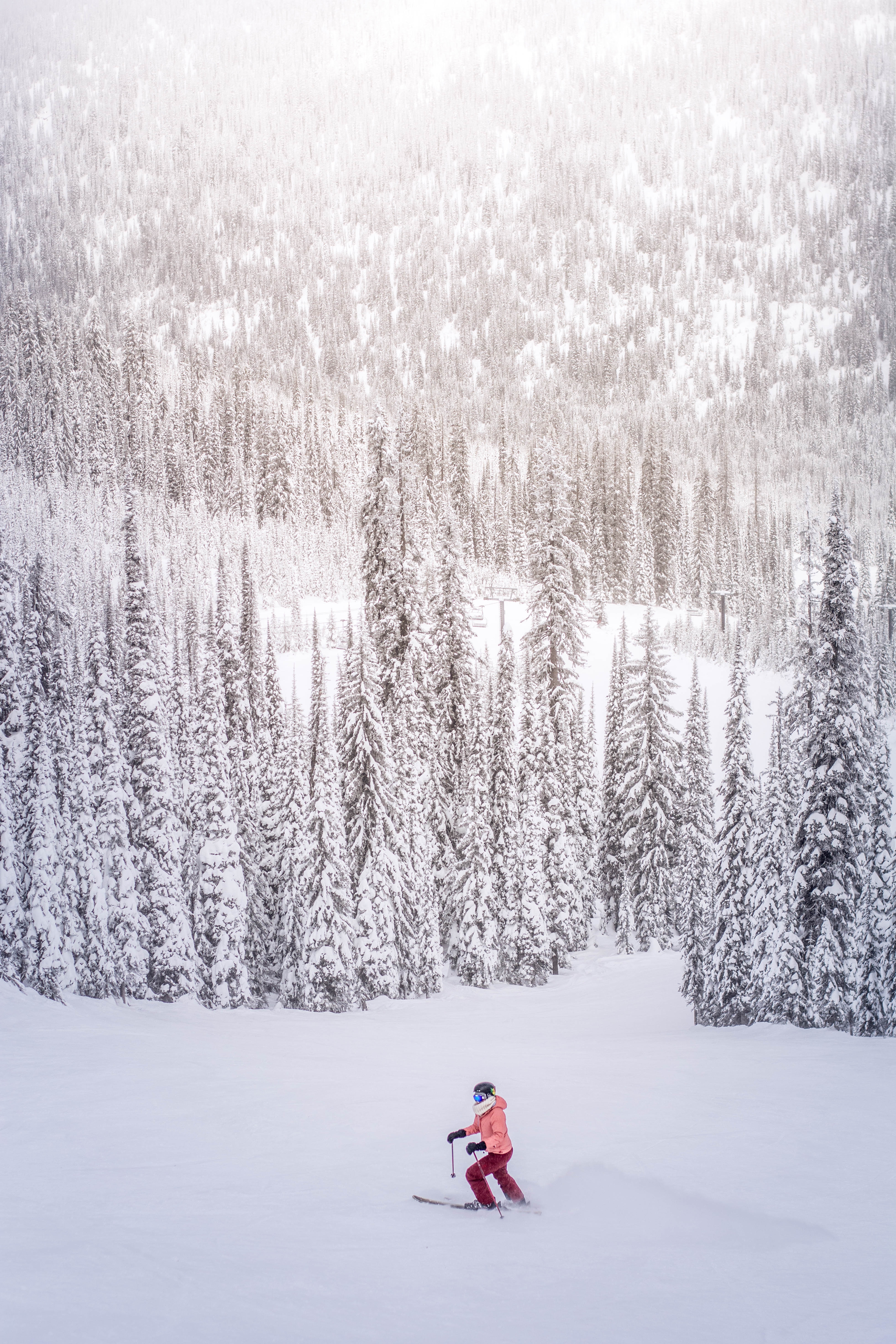 156296 免費下載壁紙 运动, 冬天, 树, 雪, 雪覆盖, 白雪覆盖, 滑雪者 屏保和圖片