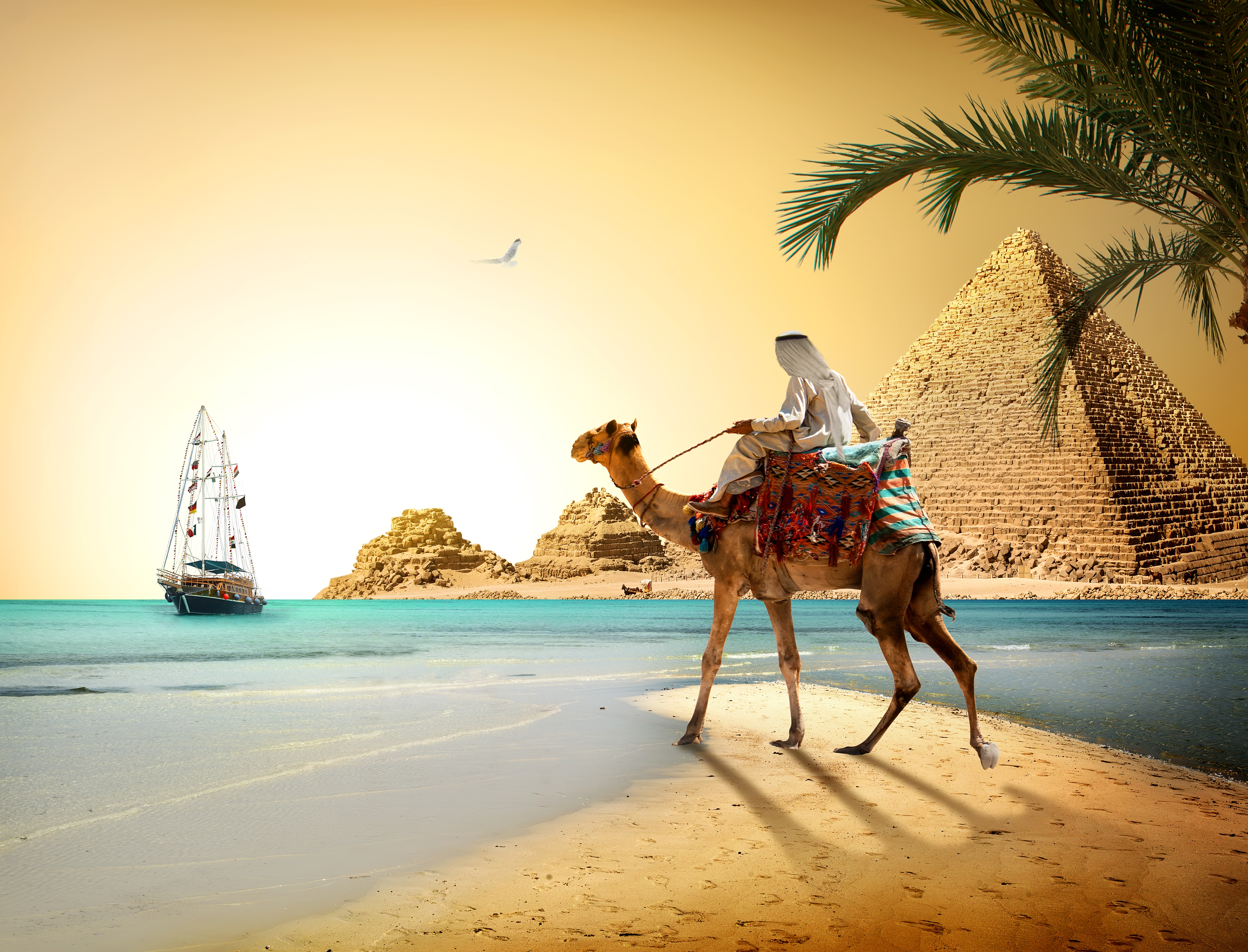Караван рекламы. Бедуины в Египте. Шарм-Эль-Шейх пустыня. Шарм Эль Шейх верблюд. Египет пирамида Каир верблюд пальмы.
