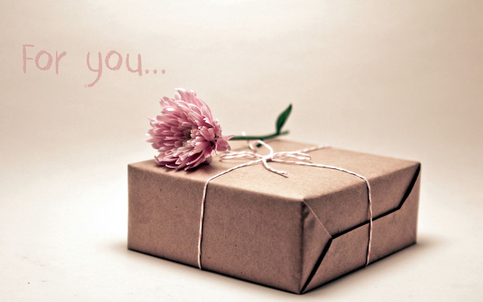 flower, miscellanea, miscellaneous, box, present, gift