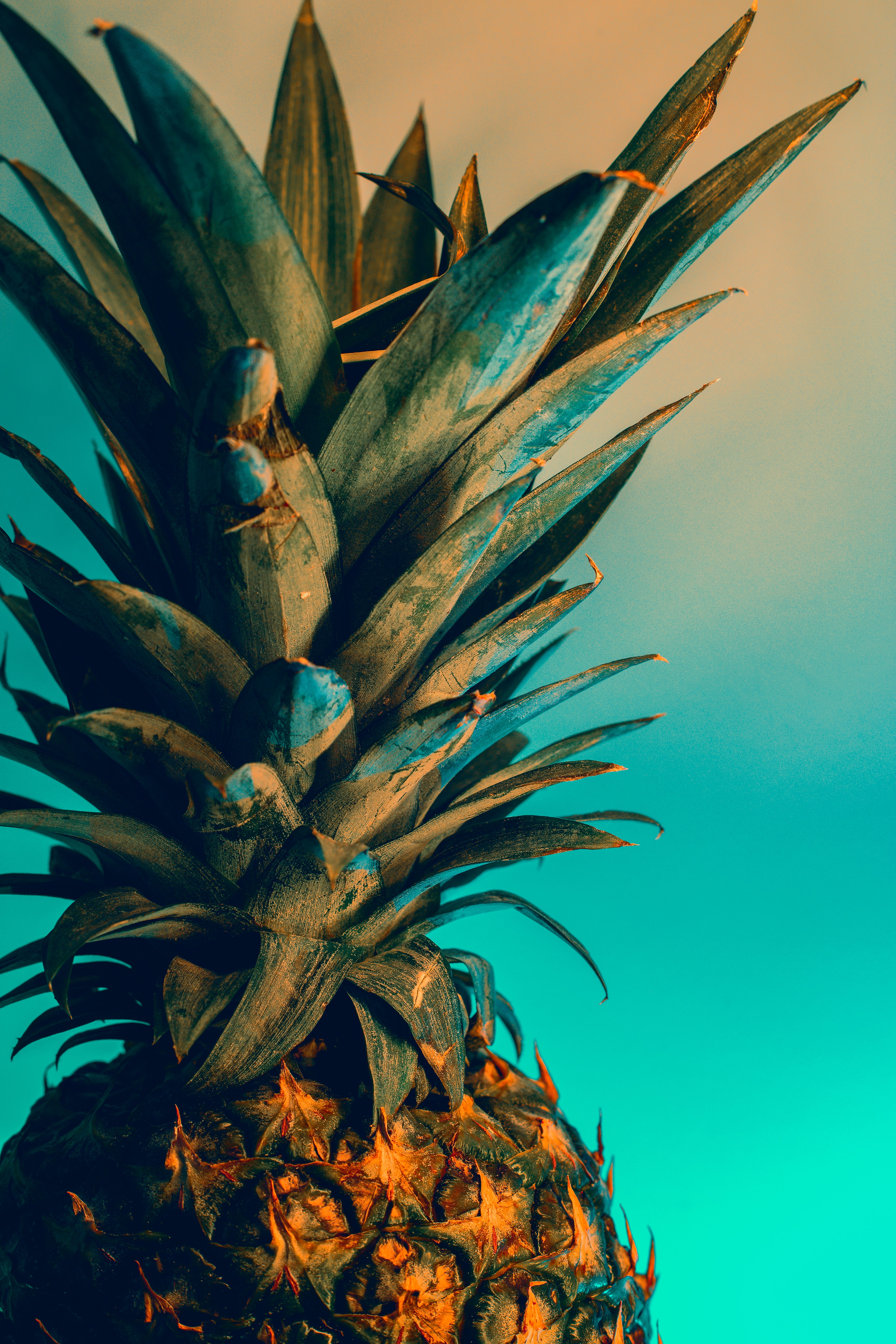 100172 Hintergrundbild herunterladen lebensmittel, ananas, die frucht, frucht, tropisch, tropischen, exotisch, eine ananas - Bildschirmschoner und Bilder kostenlos