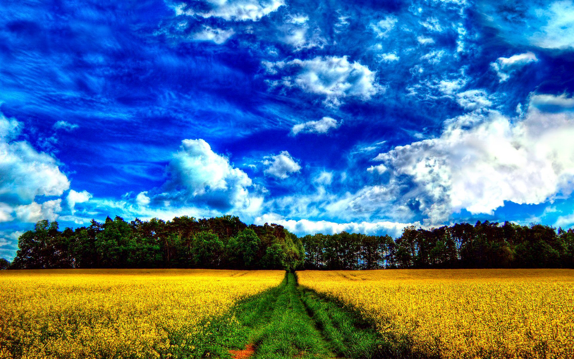 544718 Hintergrundbild herunterladen sommer, wolke, erde/natur, landschaft, blau, feld, wiese, himmel, sonnig, gelbe blume - Bildschirmschoner und Bilder kostenlos
