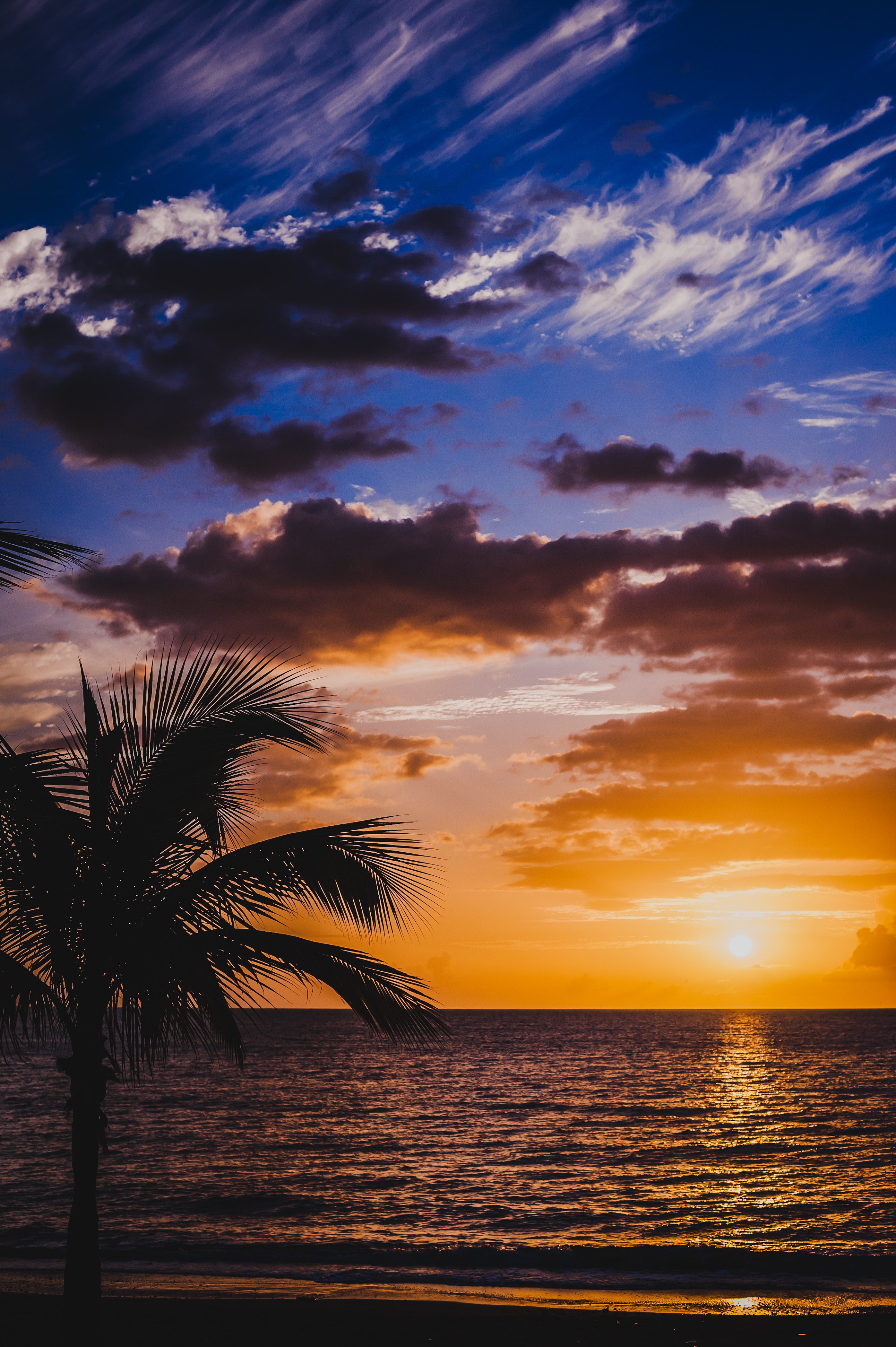 nature, sunset, sky, sea, clouds, horizon, palm, surf Panoramic Wallpaper