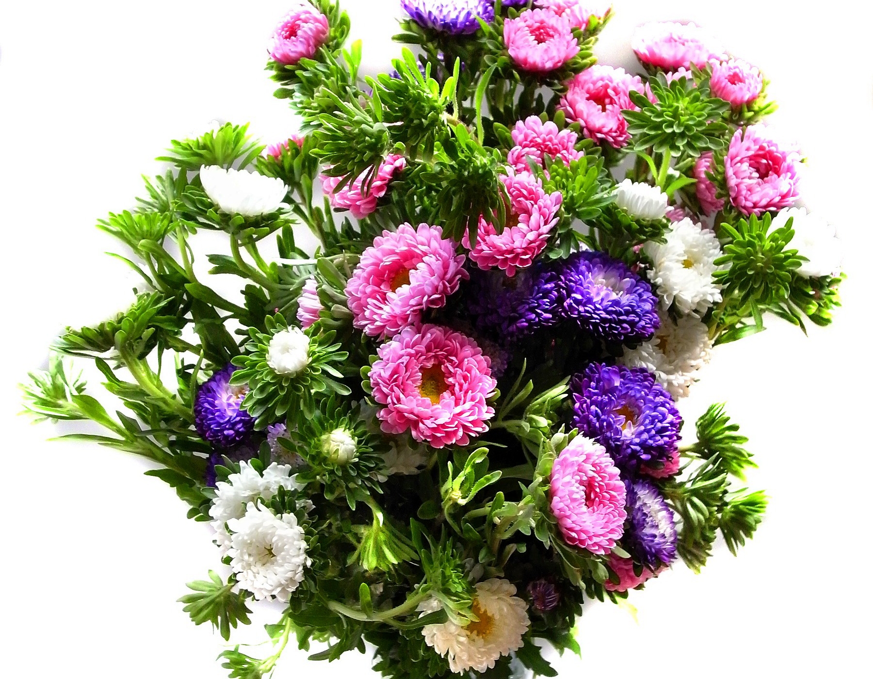 在您的 PC 桌面上免費下載 花卉, 菊花, 花束, 明亮的, 明亮, 多彩多姿, 五颜六色, 丰富多彩的 圖片