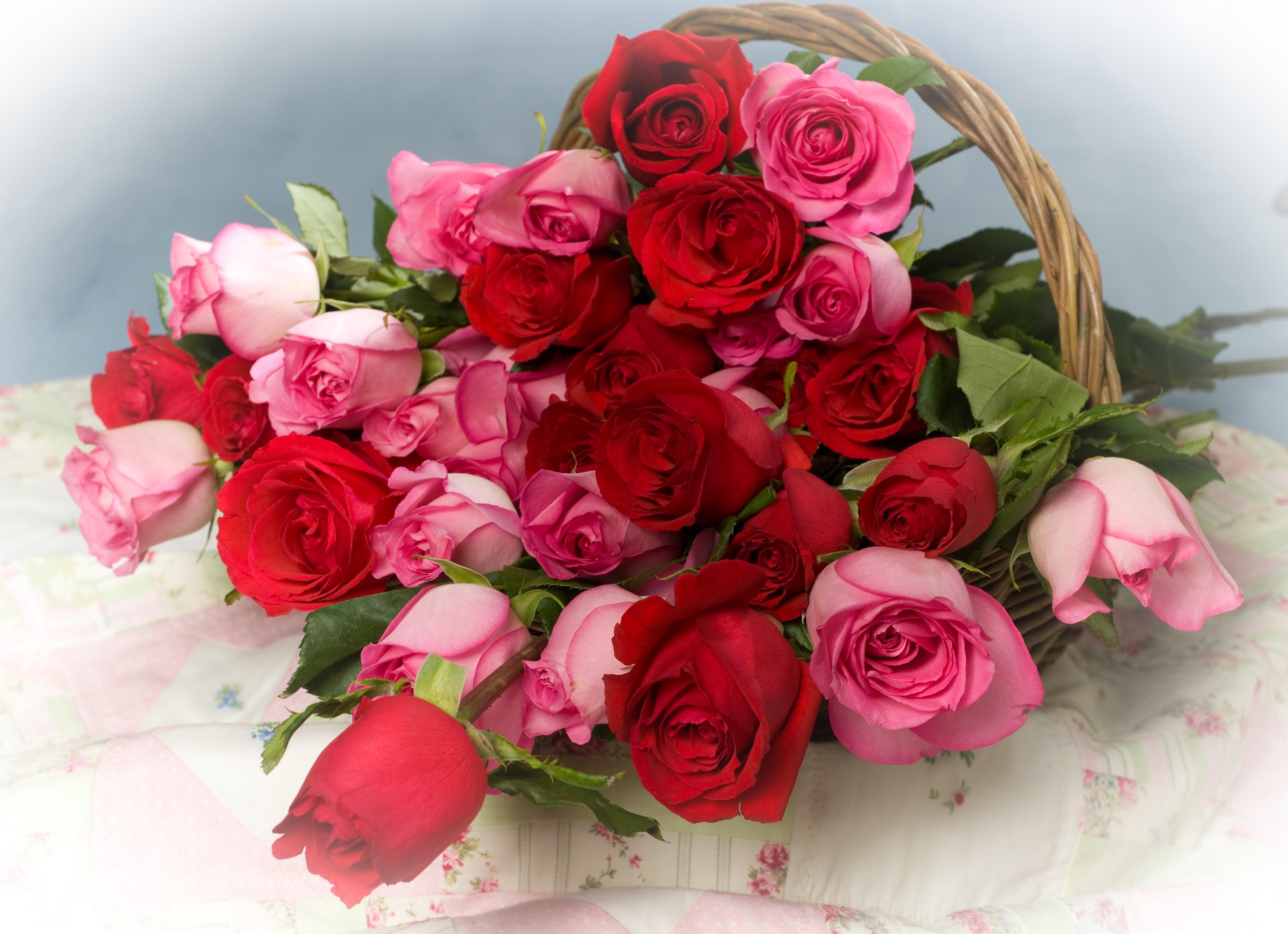 Descarga gratis la imagen Flores, Roses, Lote, Mucho, Cesta, Canasta en el escritorio de tu PC