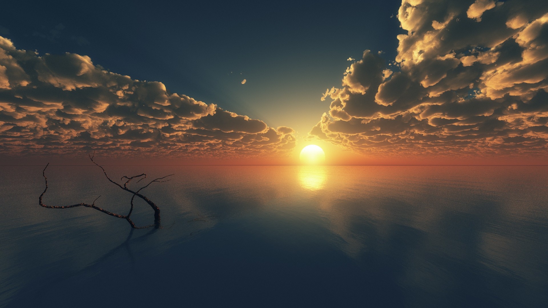 earth, sunset, cloud, driftwood, horizon, lake, sun