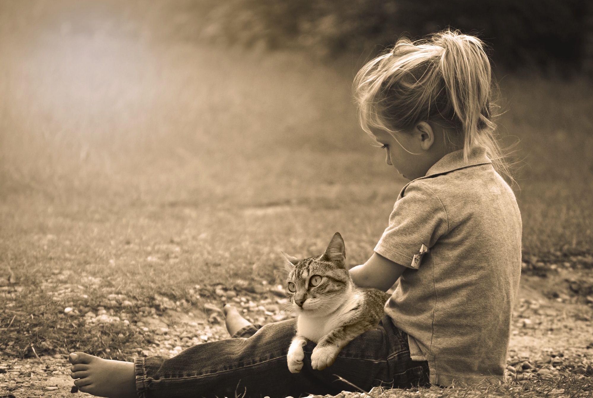 photography, child, cat, little girl, sepia