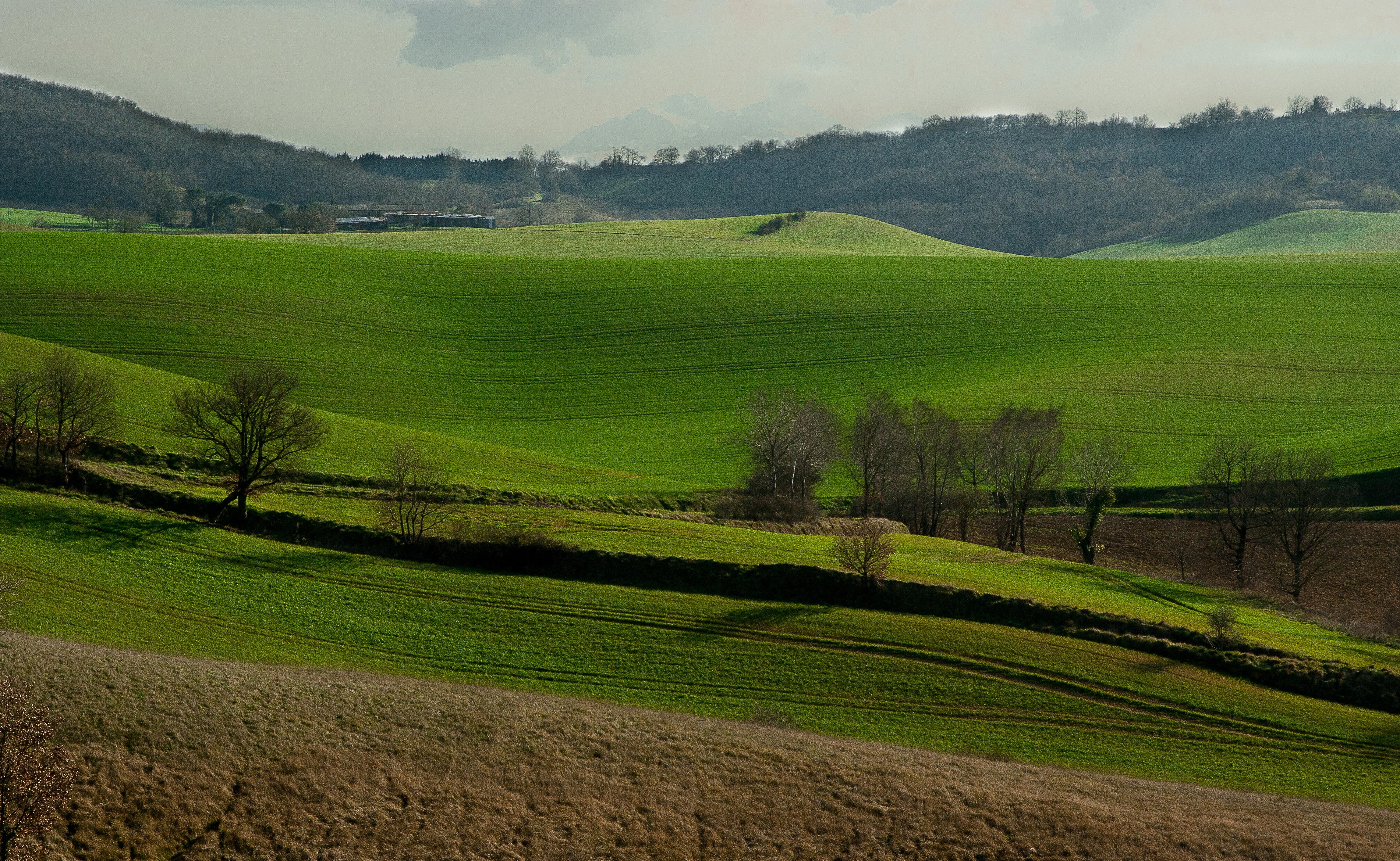 Laden Sie das Feld, Die Hügel, Hügel, Grass, Natur, Frankreich-Bild kostenlos auf Ihren PC-Desktop herunter
