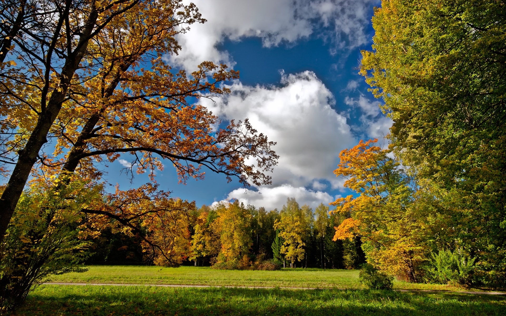 Download mobile wallpaper Landscape, Trees, Autumn for free.