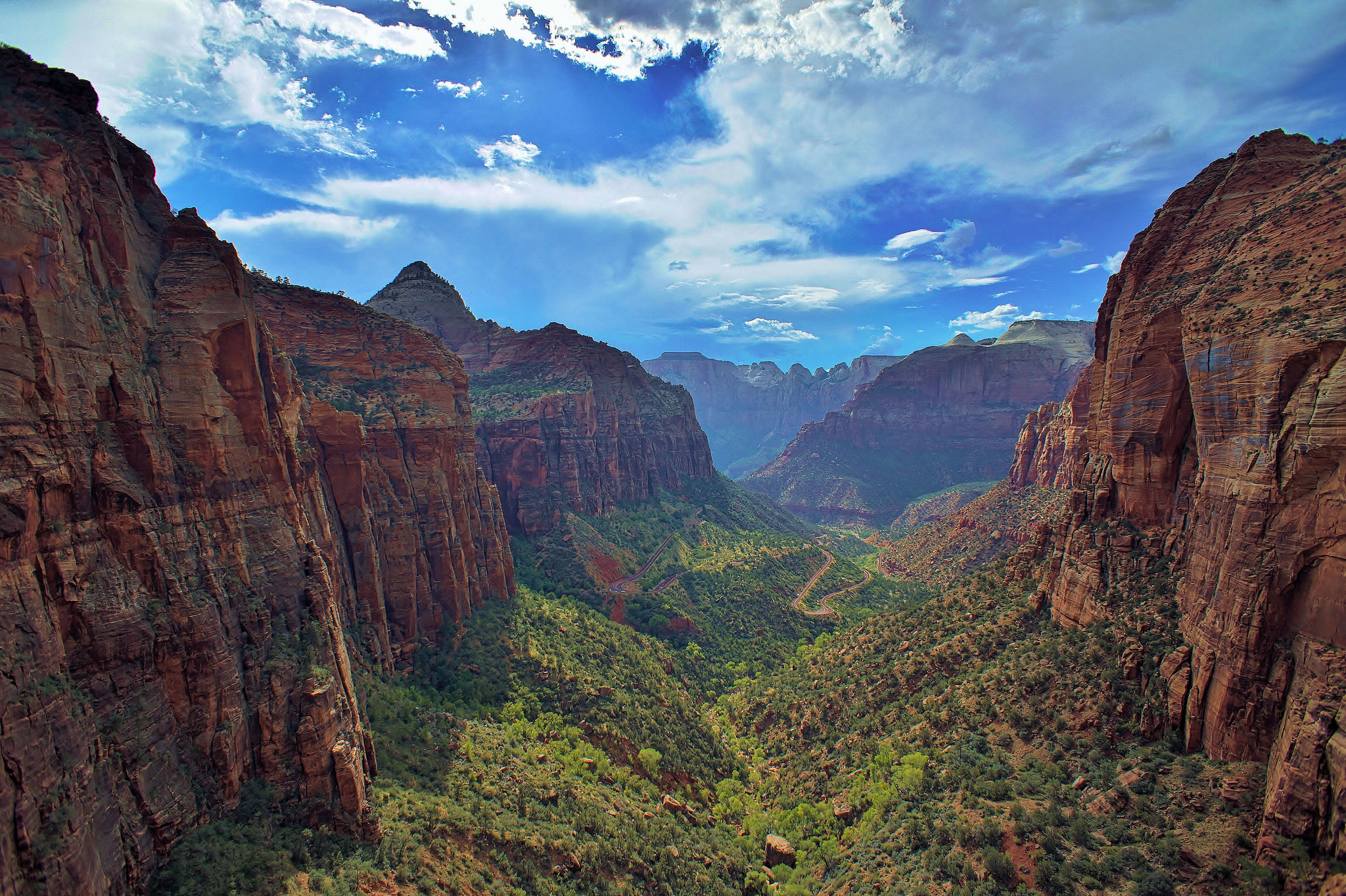 vertical wallpaper national park, earth, zion national park, canyon, forest