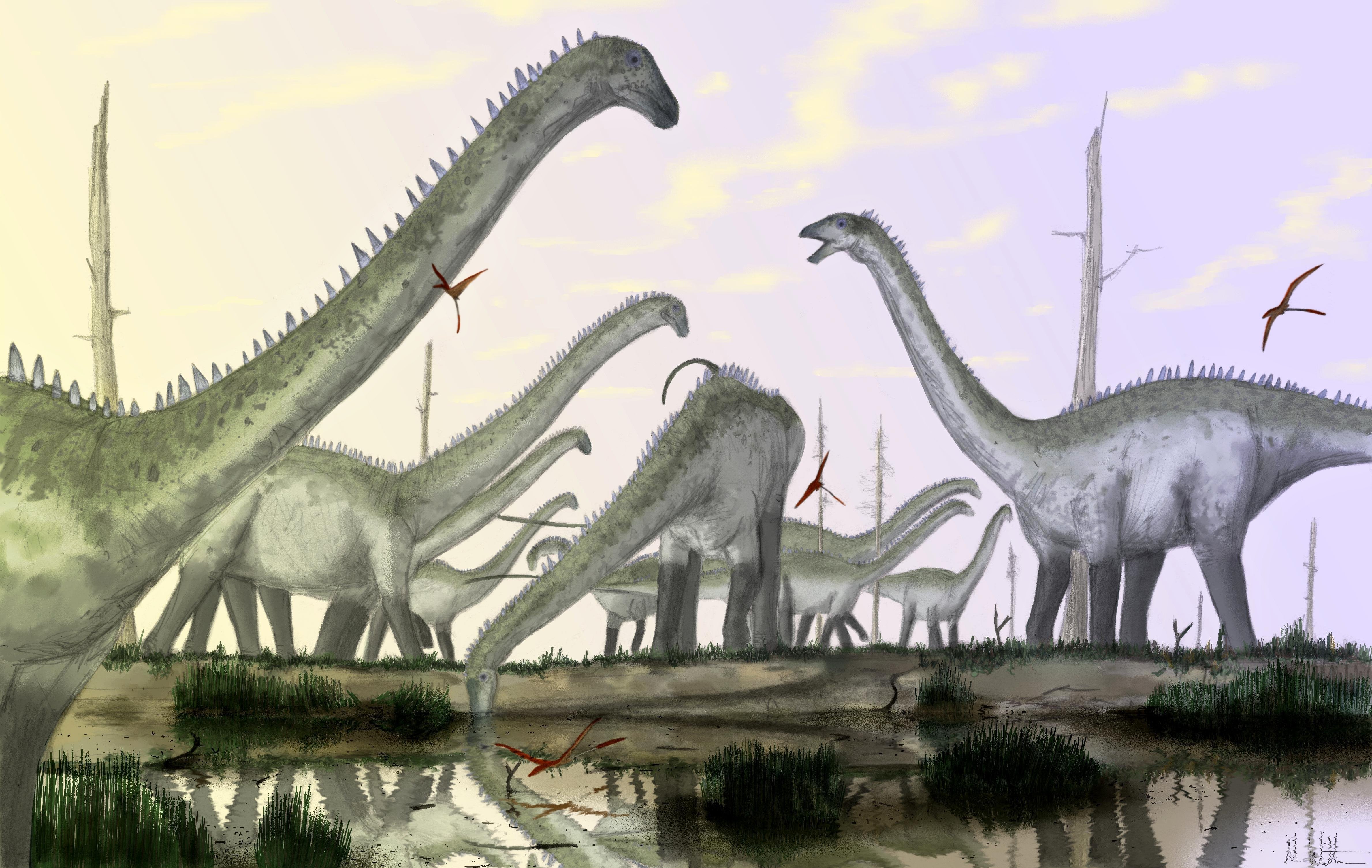 Самый большой динозавр Диплодок
