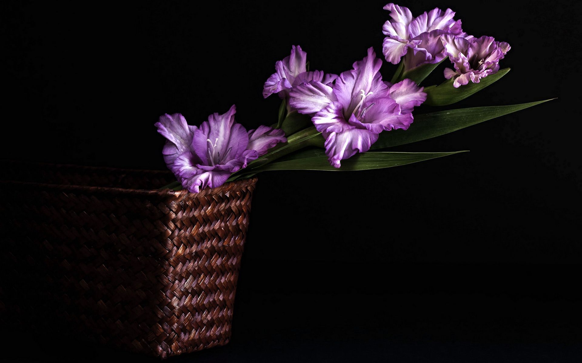 Download mobile wallpaper Gladiolus, Basket, Flowers, Leaves, Background for free.