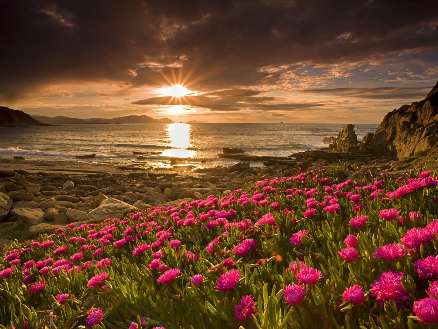免费下载景观, 花卉, 日落, 海滩手机壁纸。