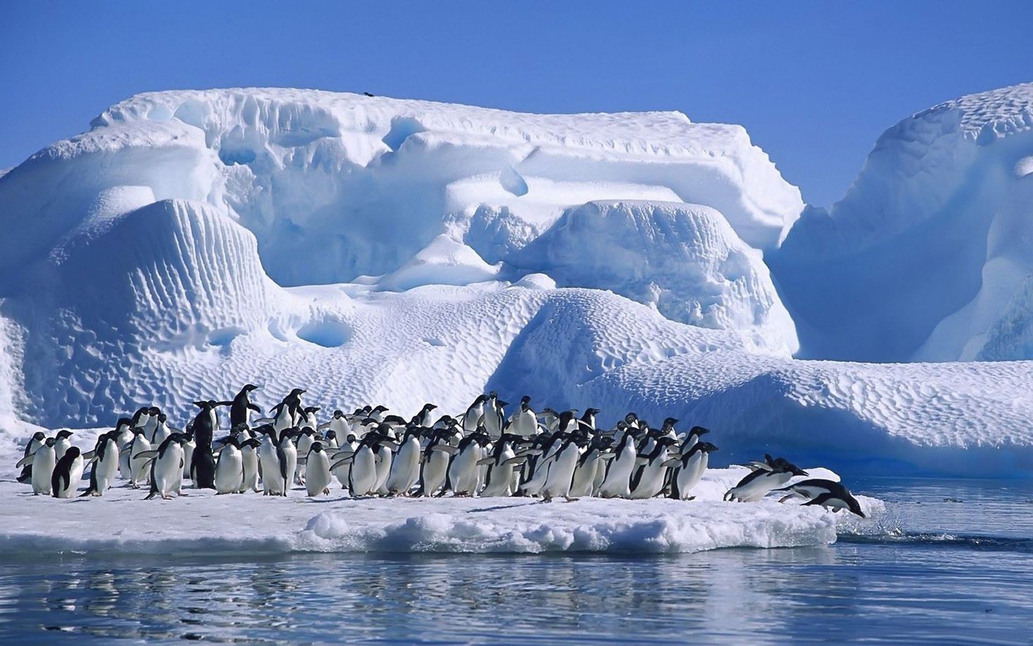 Антарктические широты