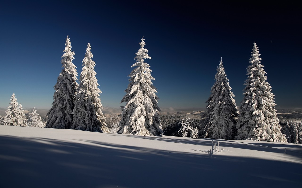 Handy-Wallpaper Landschaft, Winter, Schnee, Bäume, Tannenbaum kostenlos herunterladen.