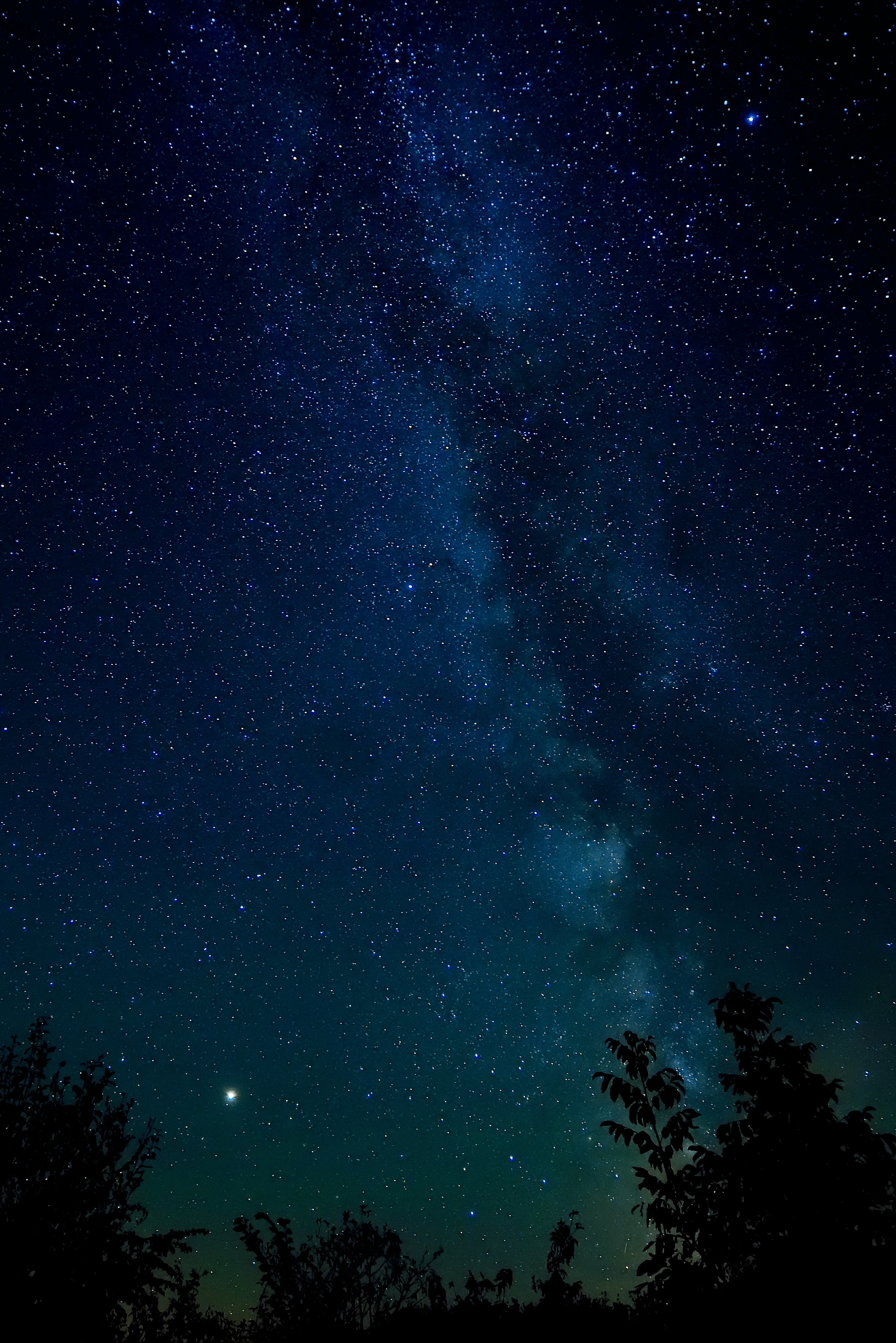 113492 Hintergrundbild herunterladen sterne, nachthimmel, natur, bäume, übernachtung, sternenhimmel - Bildschirmschoner und Bilder kostenlos