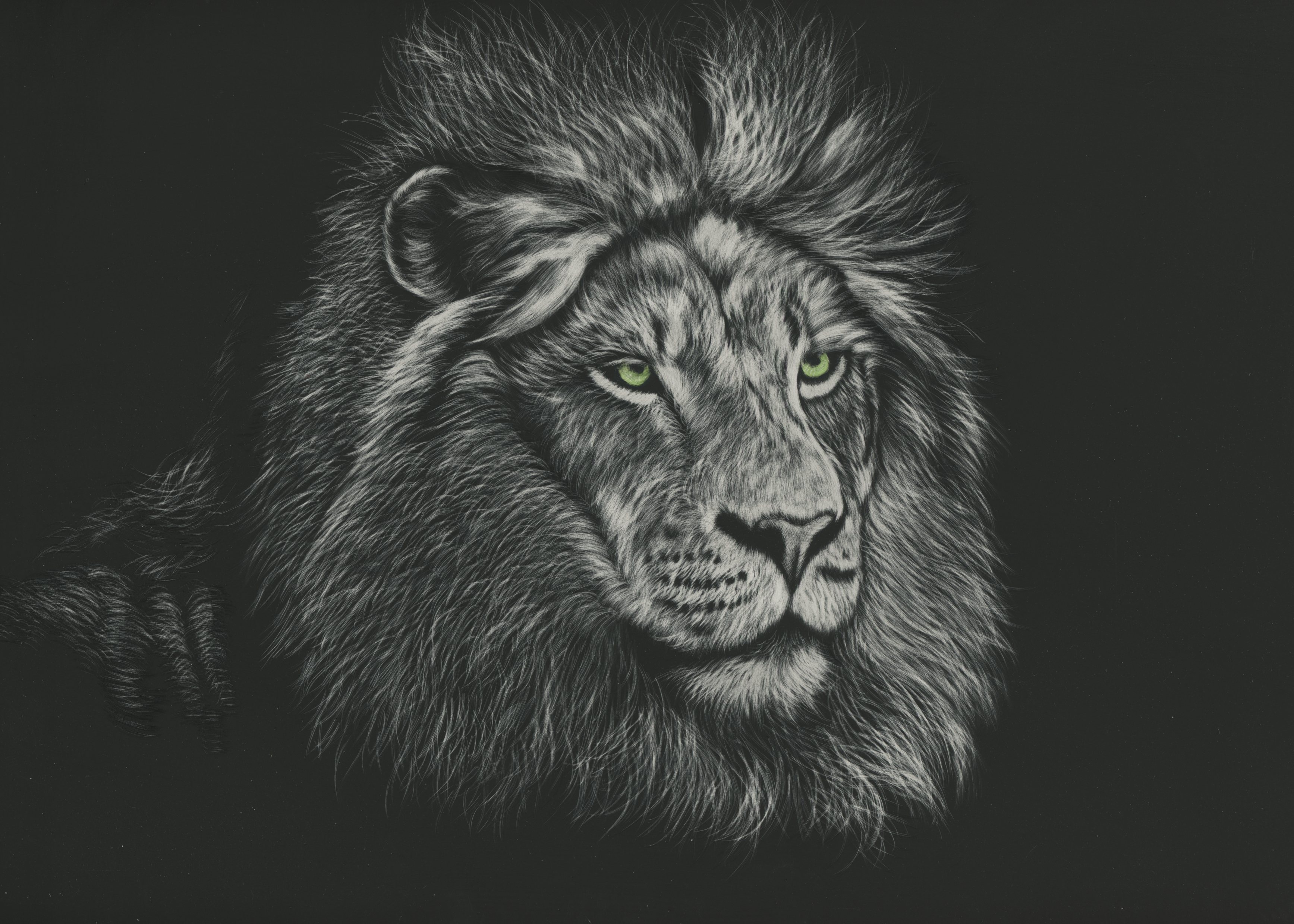 105211 descargar imagen arte, un leon, león, depredador, melena, rey de las bestias: fondos de pantalla y protectores de pantalla gratis