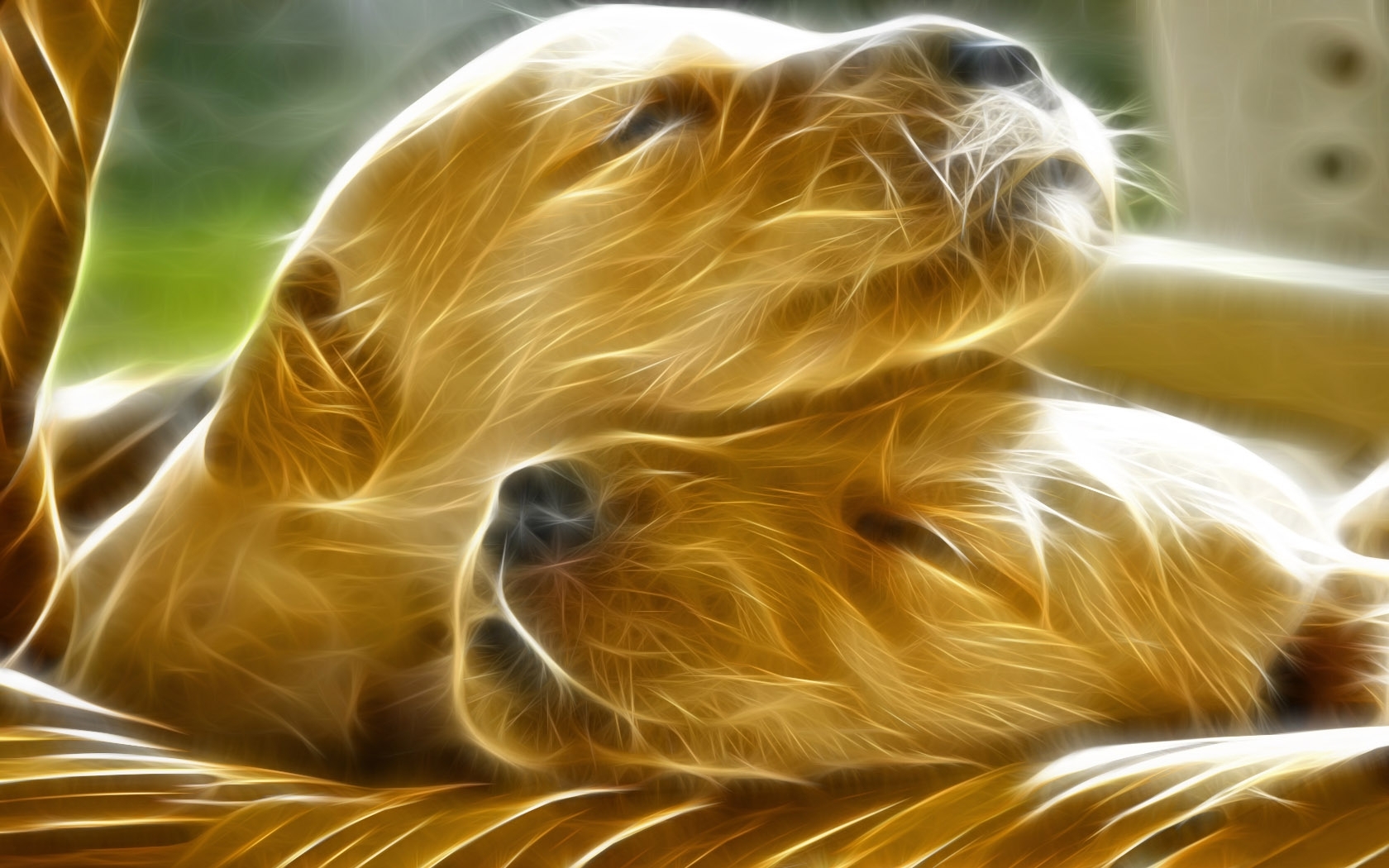 Free download wallpaper Dogs, Art, Pictures on your PC desktop