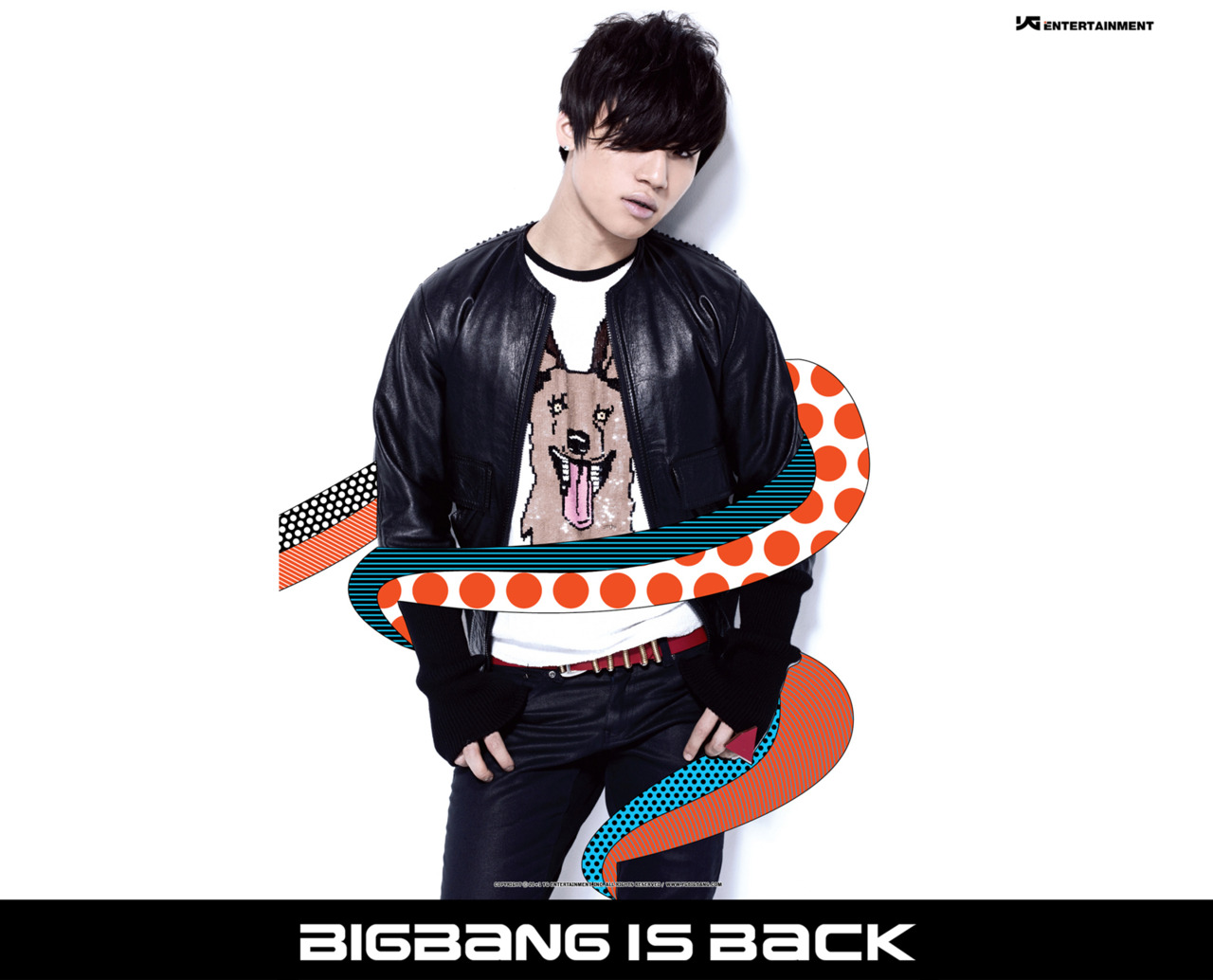 Bang back. Daesung logo.