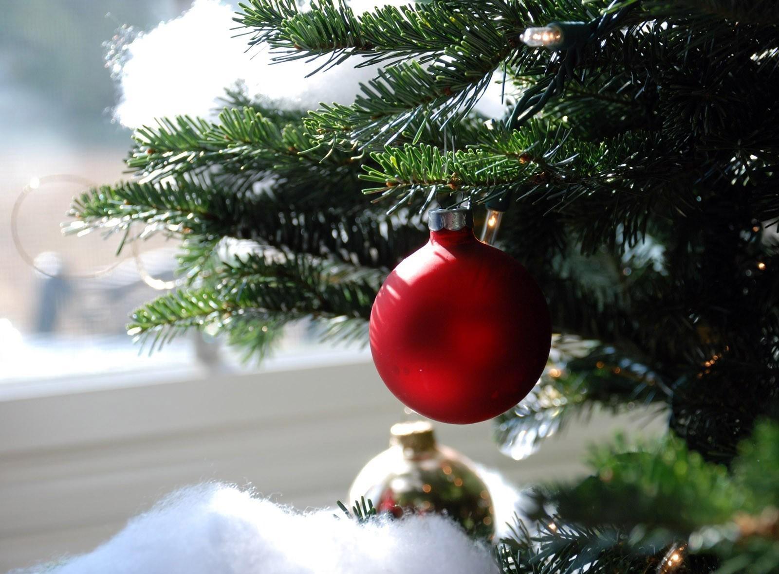 Download mobile wallpaper Needles, Branch, Christmas Tree Toy, Holidays, Close Up, Ball for free.