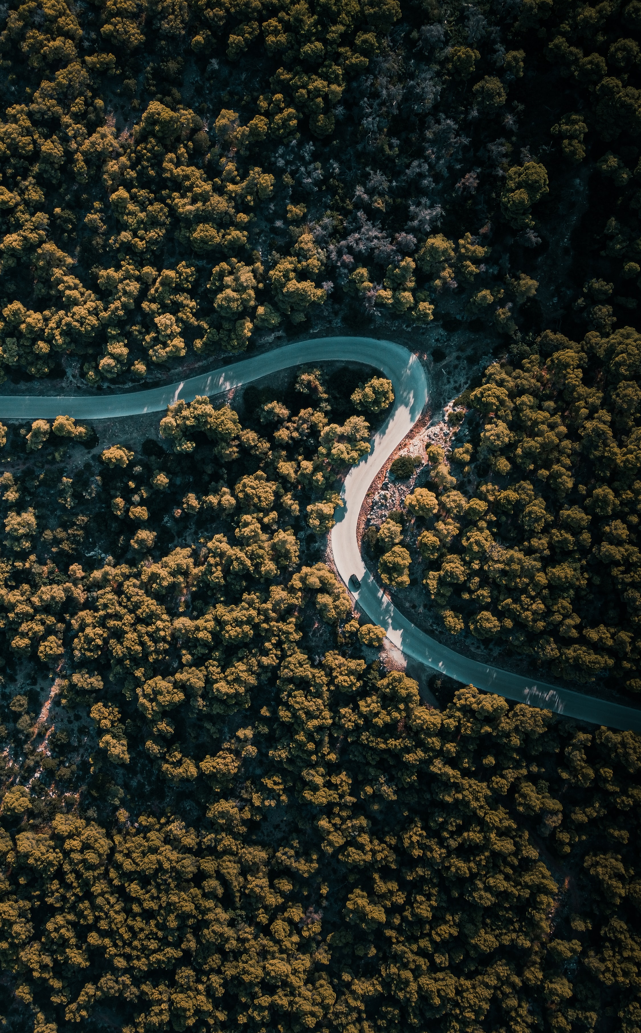 Download mobile wallpaper Trees, Winding, Road, View From Above, Sinuous, Nature for free.