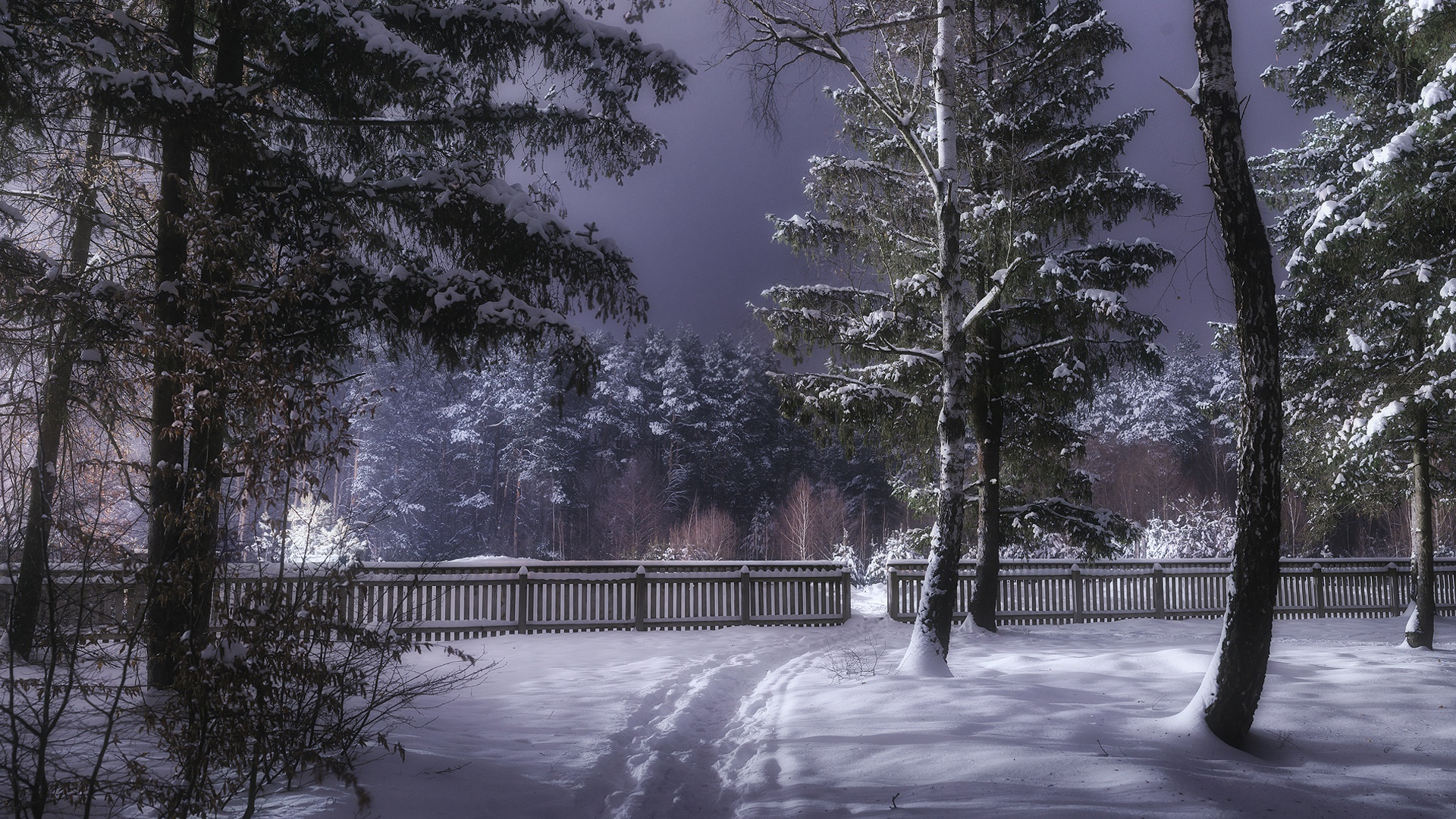 997182 завантажити шпалери україна, фотографія, зима, паркан, ліс, шлях, сніг, дерево - заставки і картинки безкоштовно