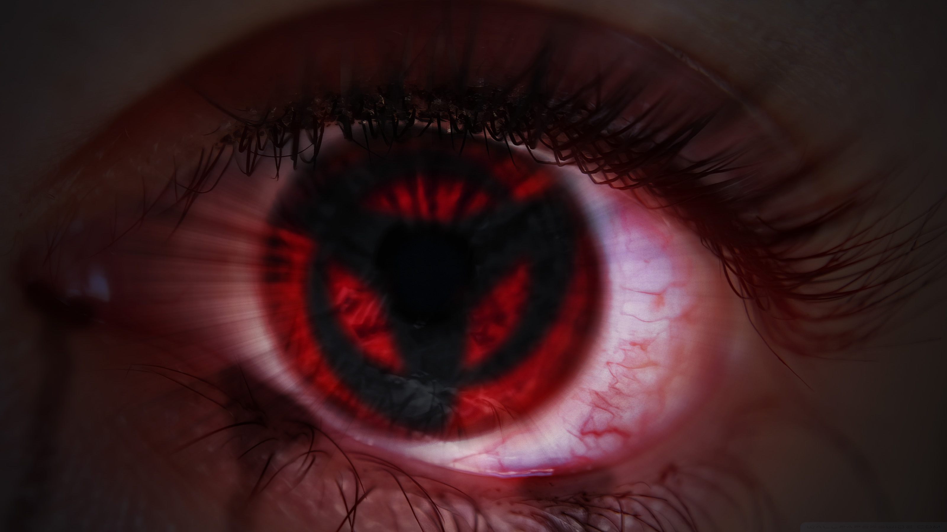 Anime Eyes Background Images, HD Pictures and Wallpaper For Free Download