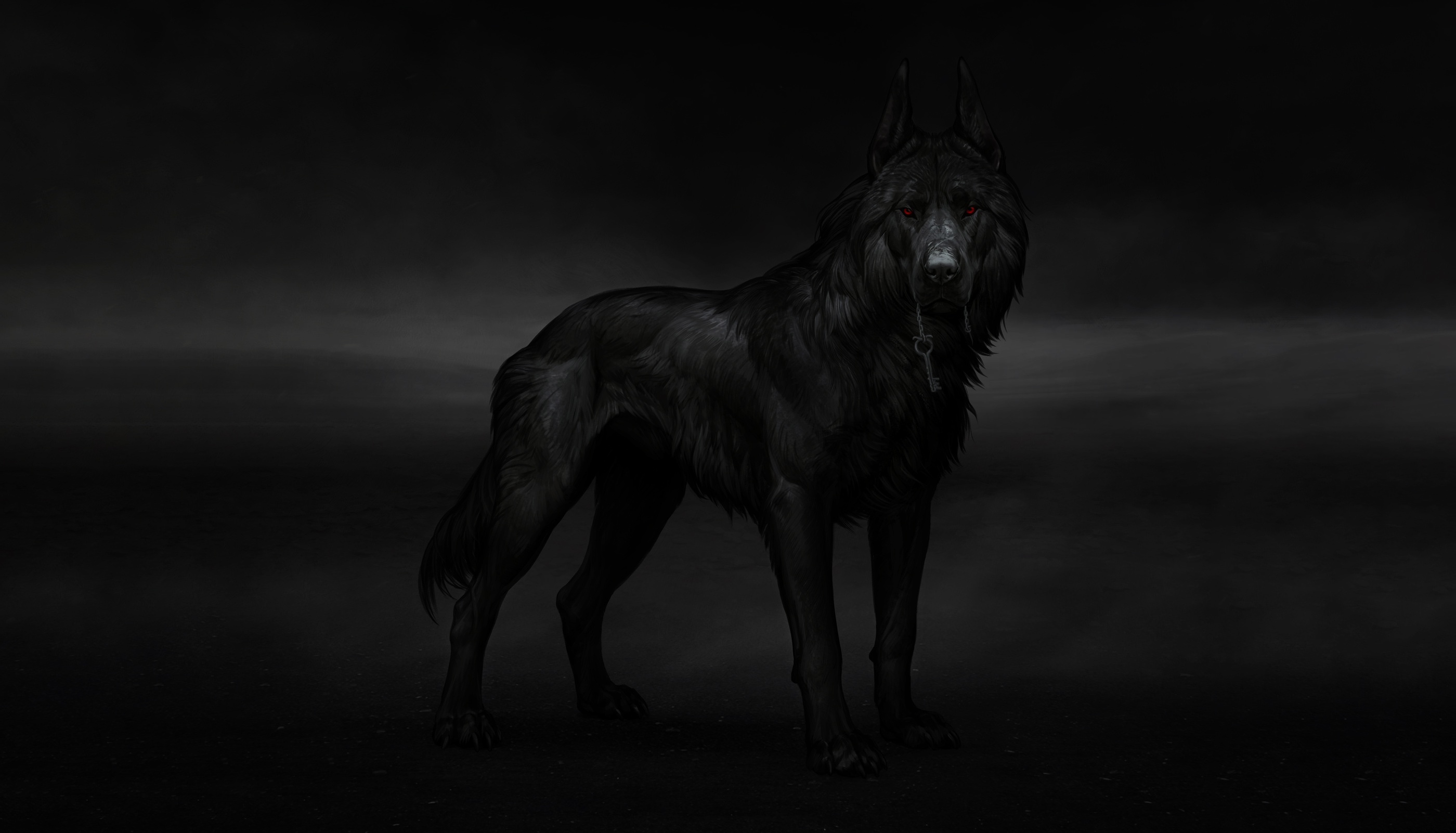 Черный Волк В Темноте