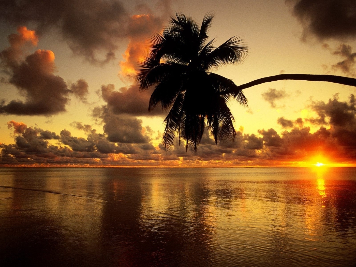 23553 Hintergrundbild herunterladen landschaft, sunset, sea, palms, orange - Bildschirmschoner und Bilder kostenlos