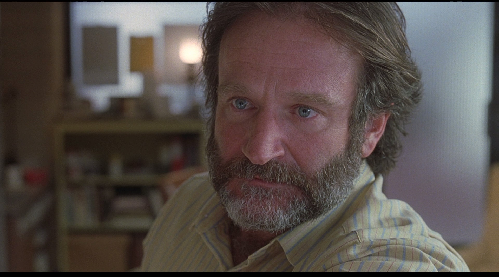 movie, good will hunting, robin williams High Definition image