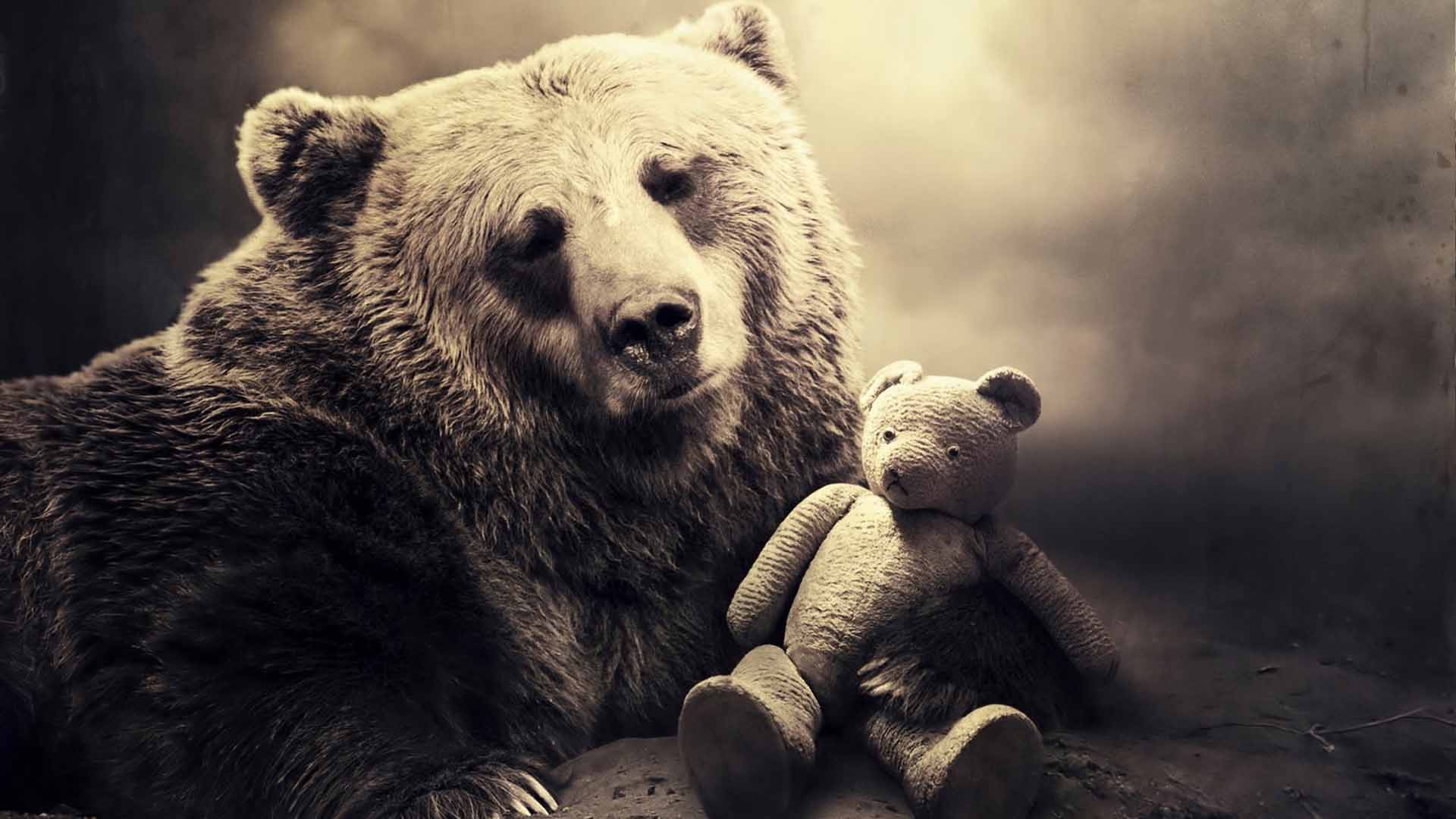 Download mobile wallpaper Bears, Teddy Bear, Bear, Toy, Animal, Cute for free.